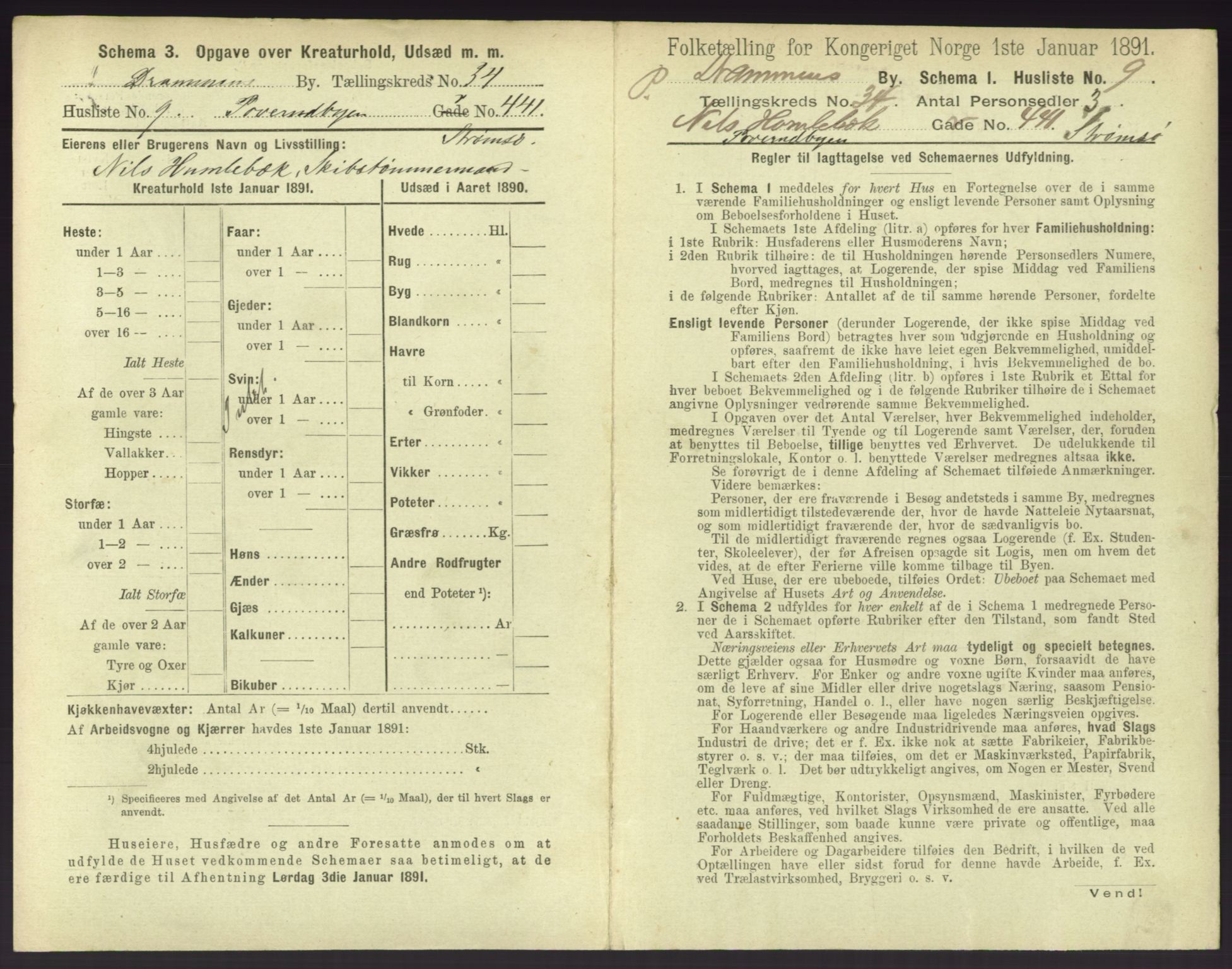 RA, 1891 census for 0602 Drammen, 1891, p. 3011