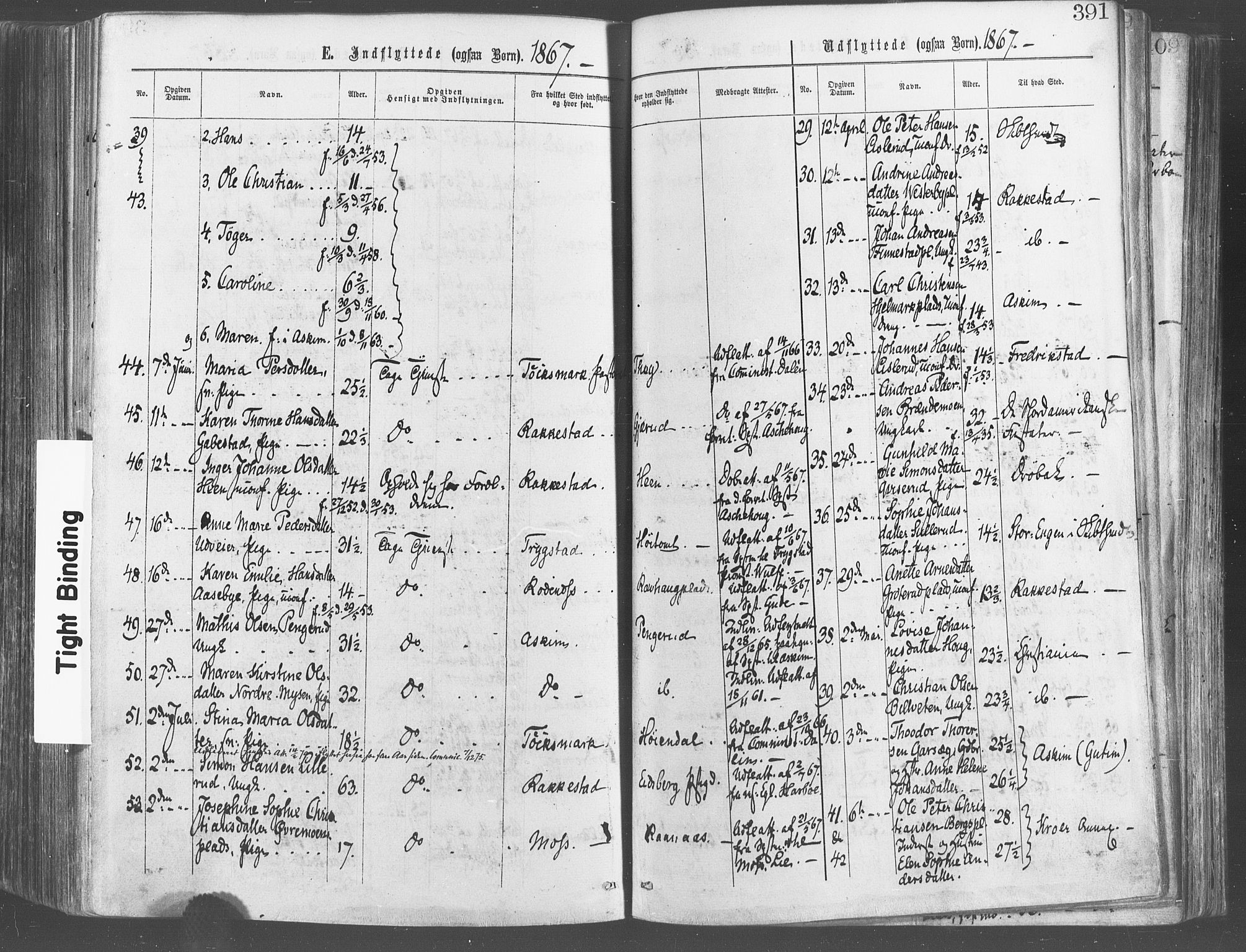 Eidsberg prestekontor Kirkebøker, SAO/A-10905/F/Fa/L0011: Parish register (official) no. I 11, 1867-1878, p. 391