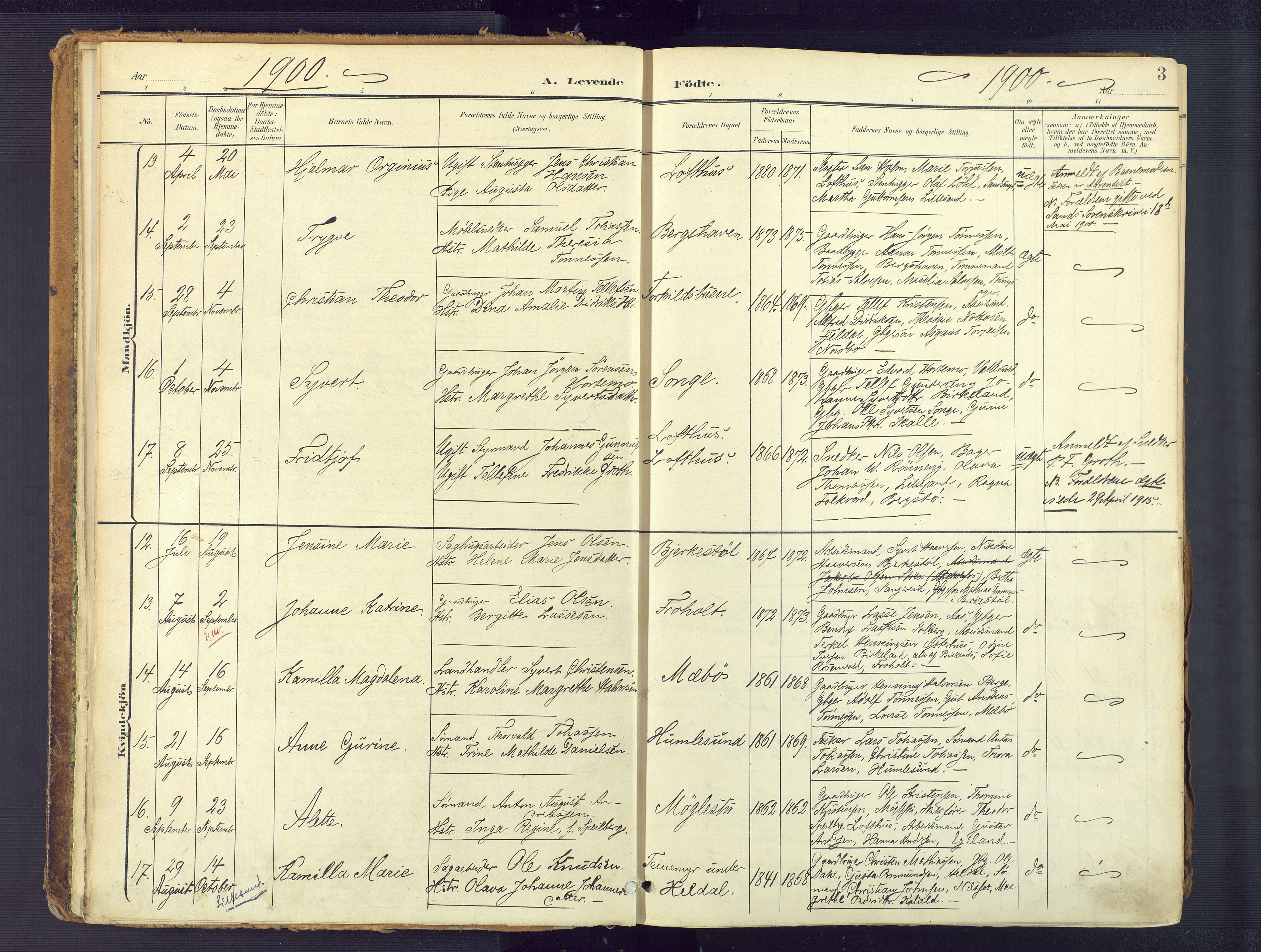 Vestre Moland sokneprestkontor, SAK/1111-0046/F/Fa/Fab/L0010: Parish register (official) no. A 10, 1900-1926, p. 3