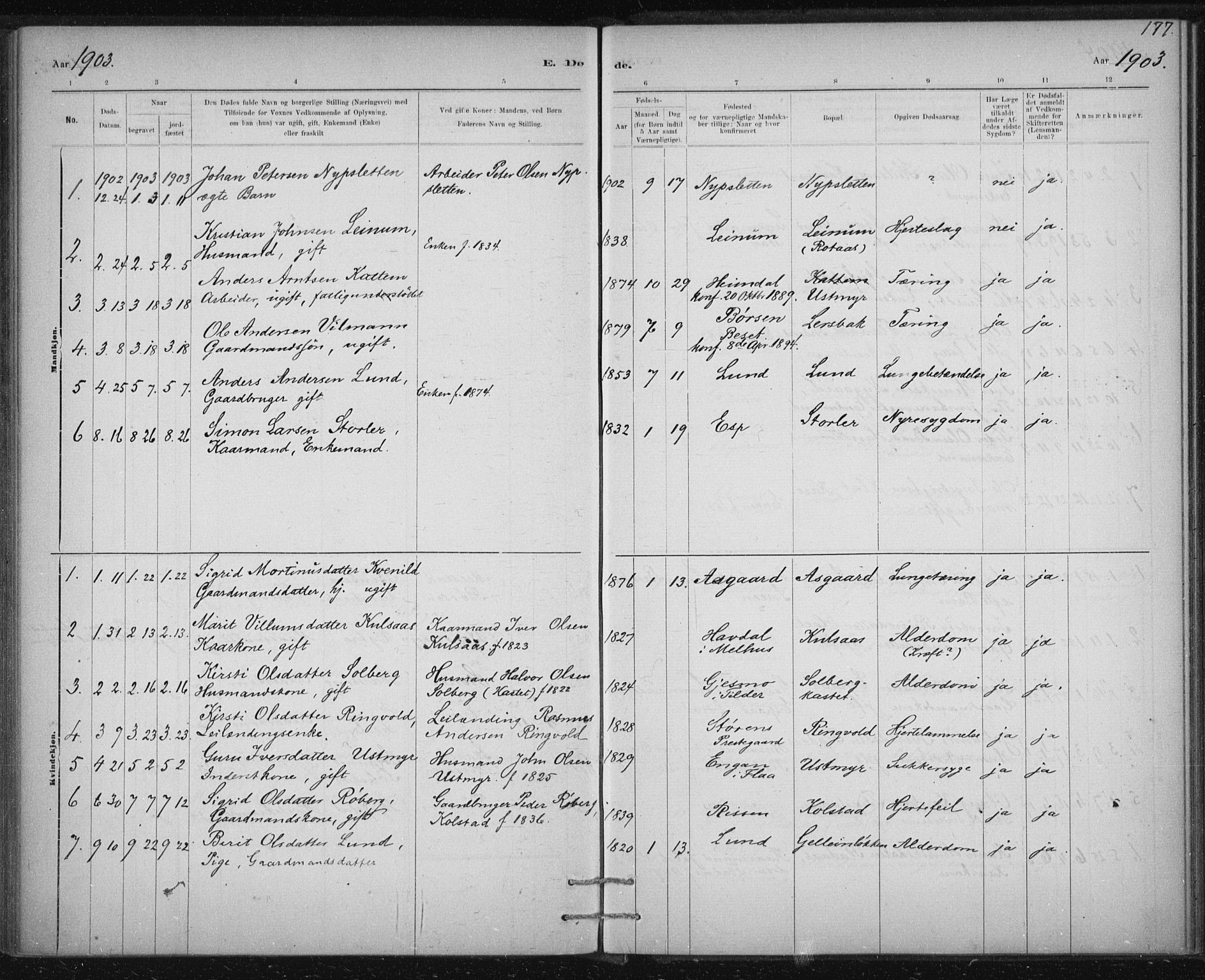 Ministerialprotokoller, klokkerbøker og fødselsregistre - Sør-Trøndelag, SAT/A-1456/613/L0392: Parish register (official) no. 613A01, 1887-1906, p. 177