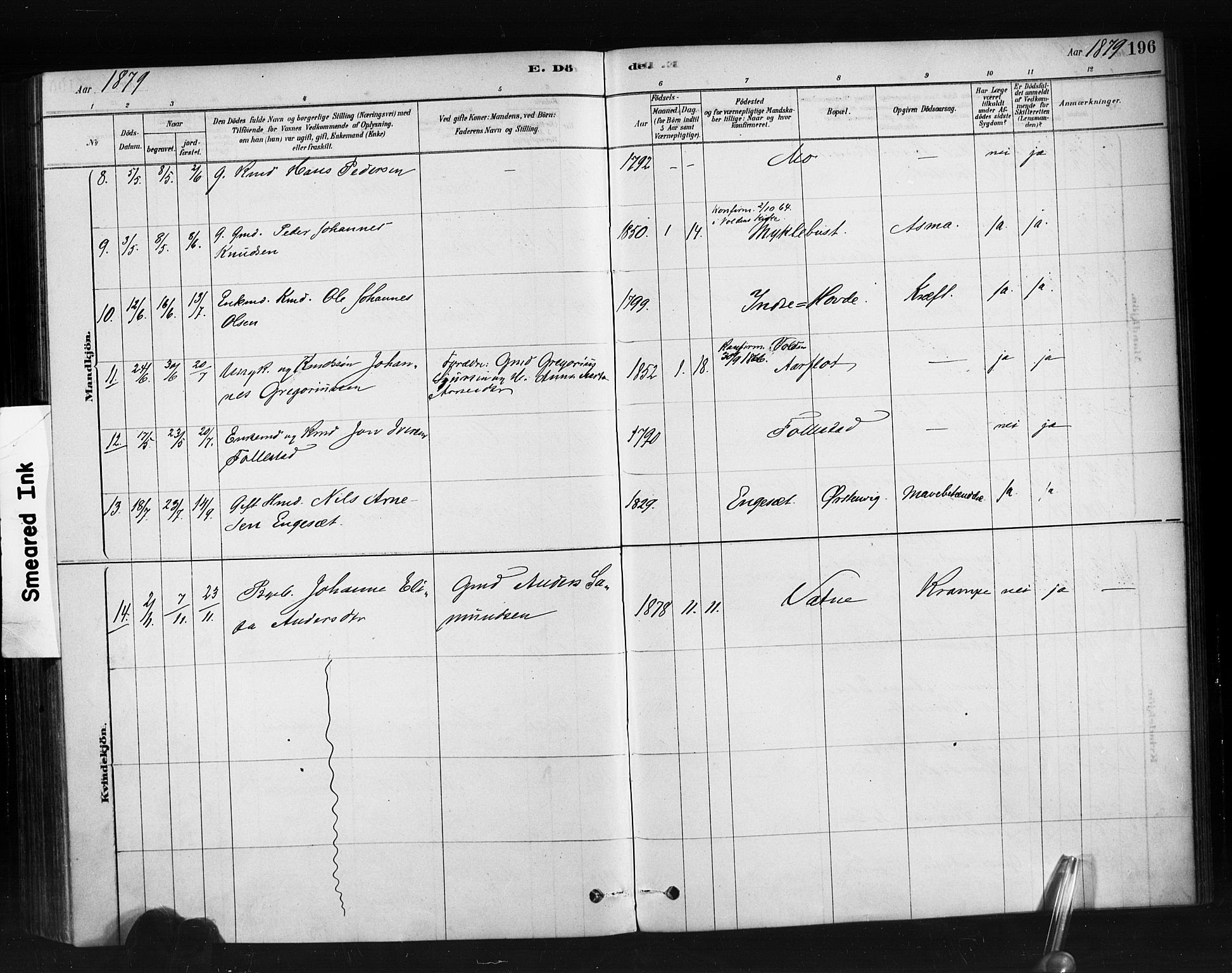 Ministerialprotokoller, klokkerbøker og fødselsregistre - Møre og Romsdal, AV/SAT-A-1454/513/L0176: Parish register (official) no. 513A03, 1877-1889, p. 196