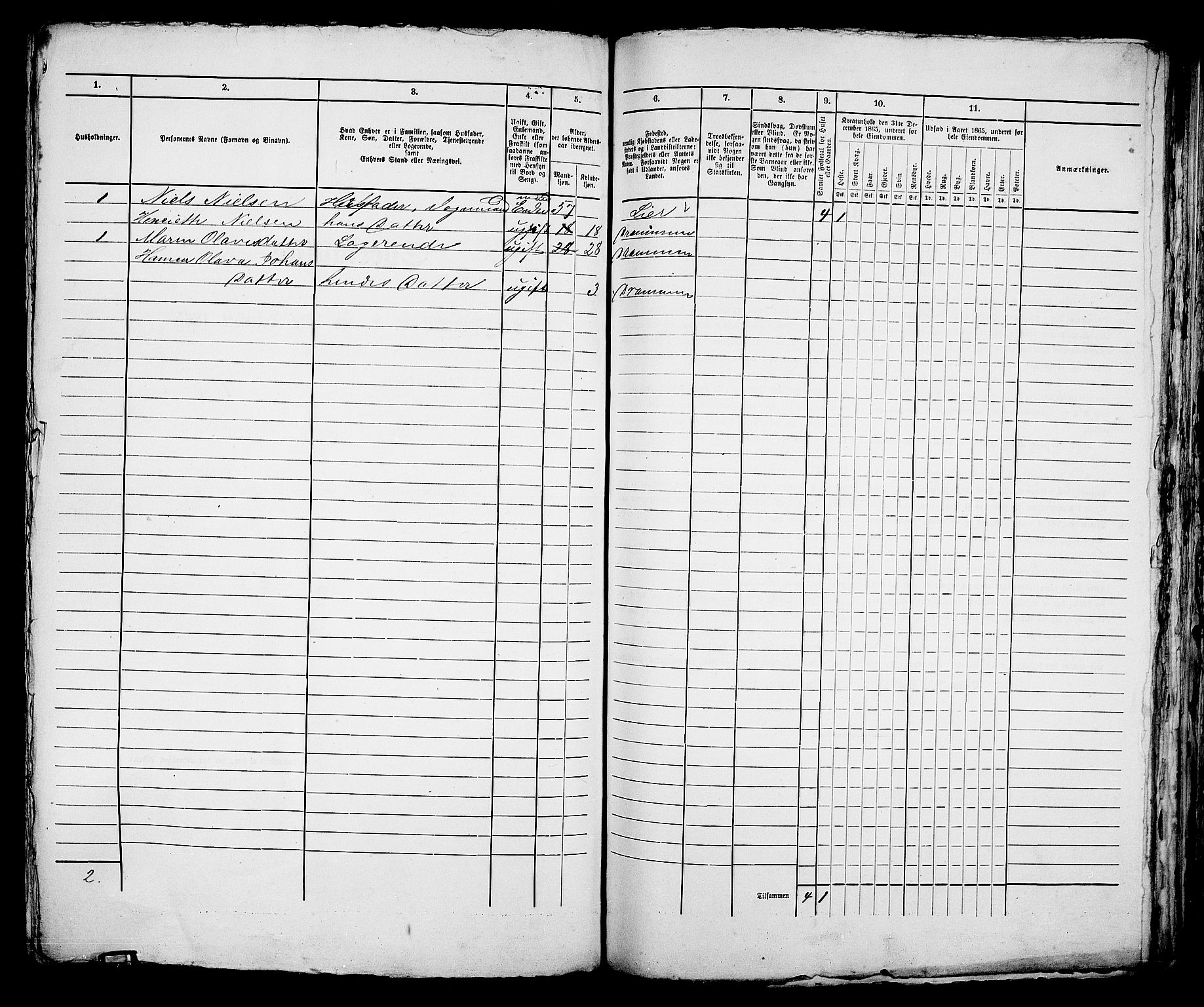 RA, 1865 census for Bragernes in Drammen, 1865, p. 1043