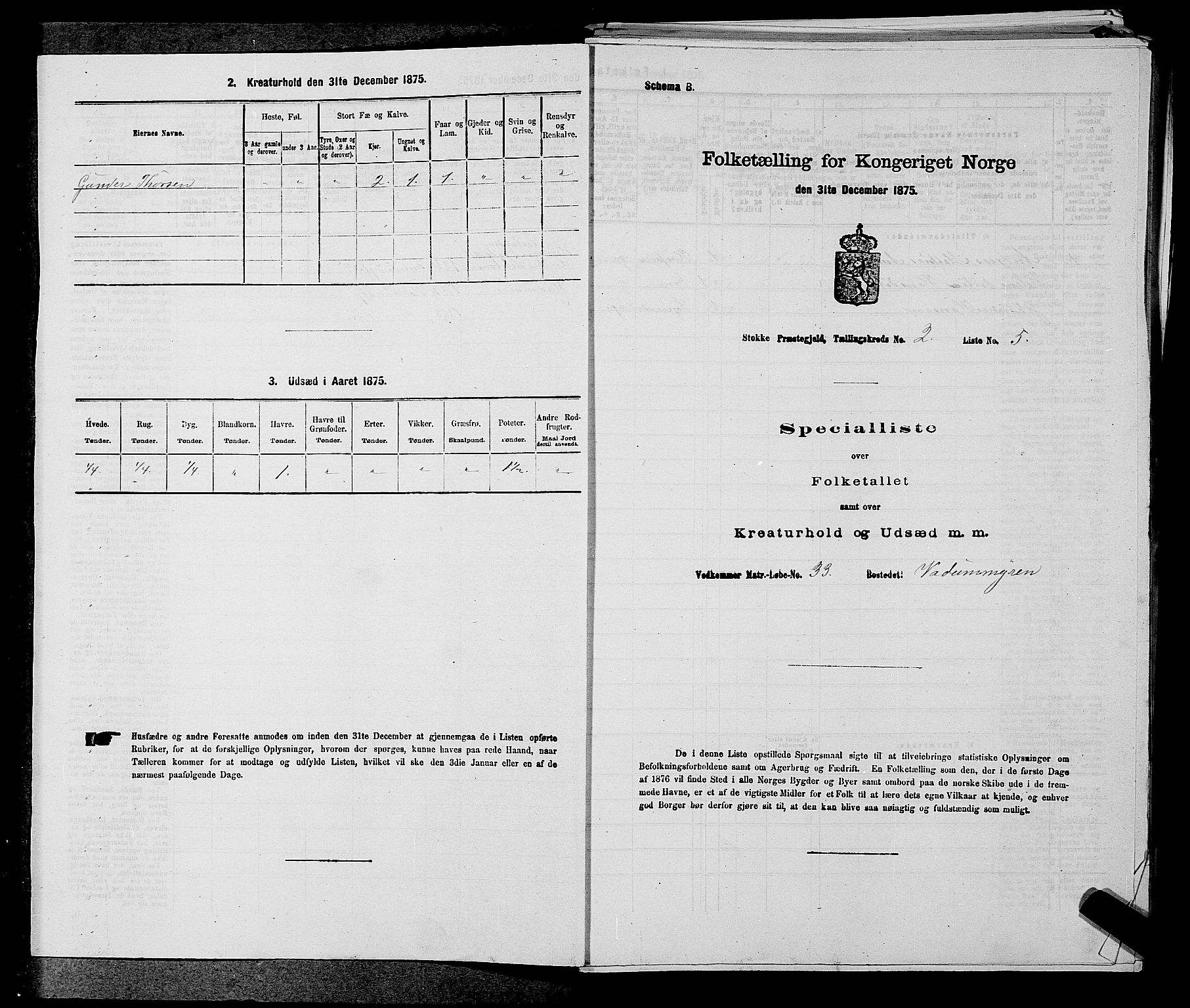 SAKO, 1875 census for 0720P Stokke, 1875, p. 299