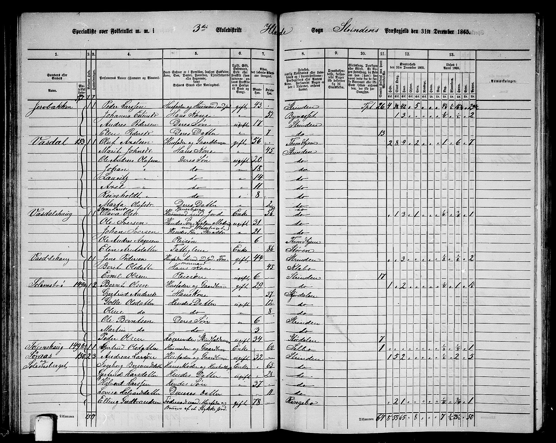 RA, 1865 census for Strinda, 1865, p. 74