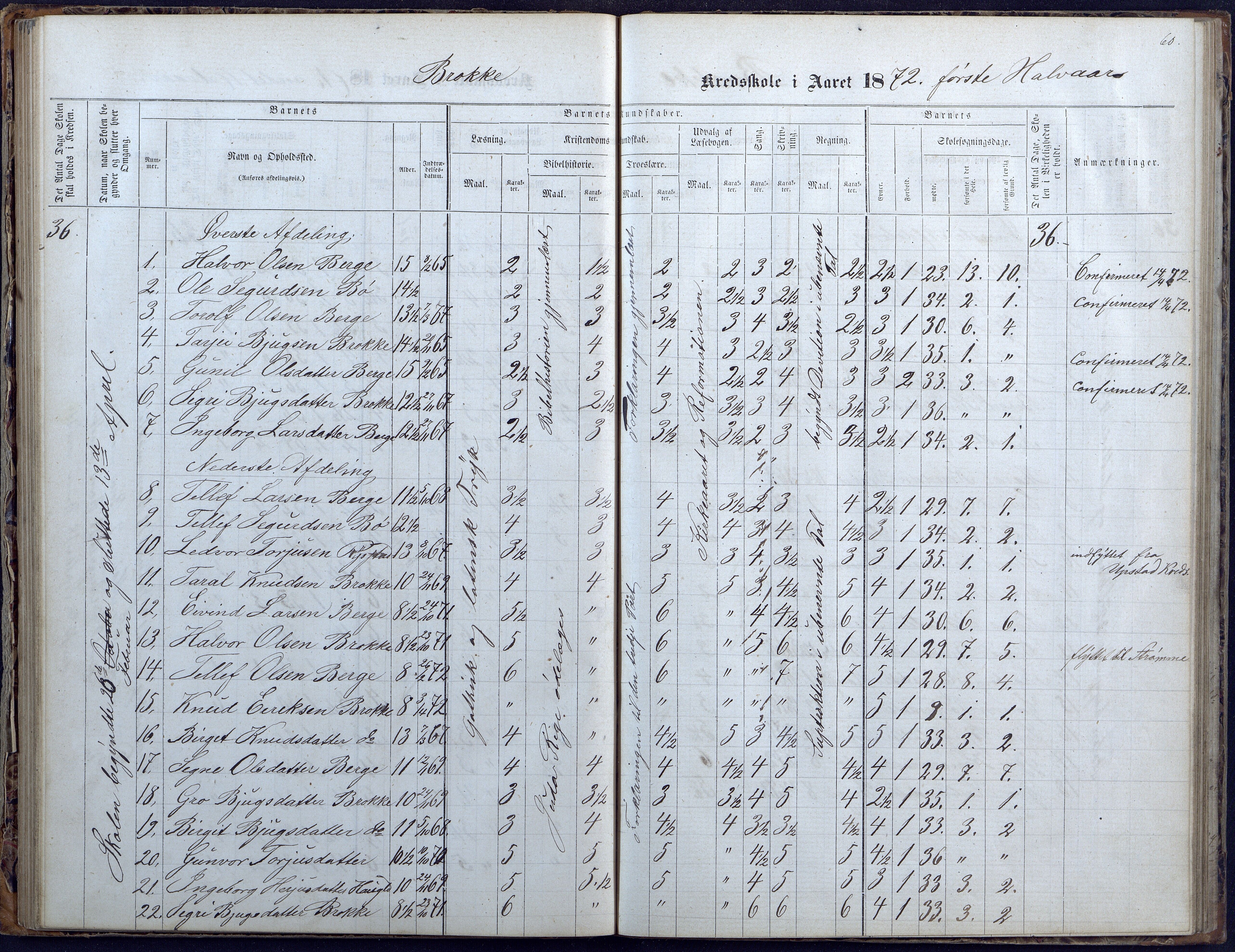 Hylestad kommune, AAKS/KA0939-PK/03/03b/L0004: Skoleprotokoll for Haugen og Brokke krets, 1863-1888, p. 60