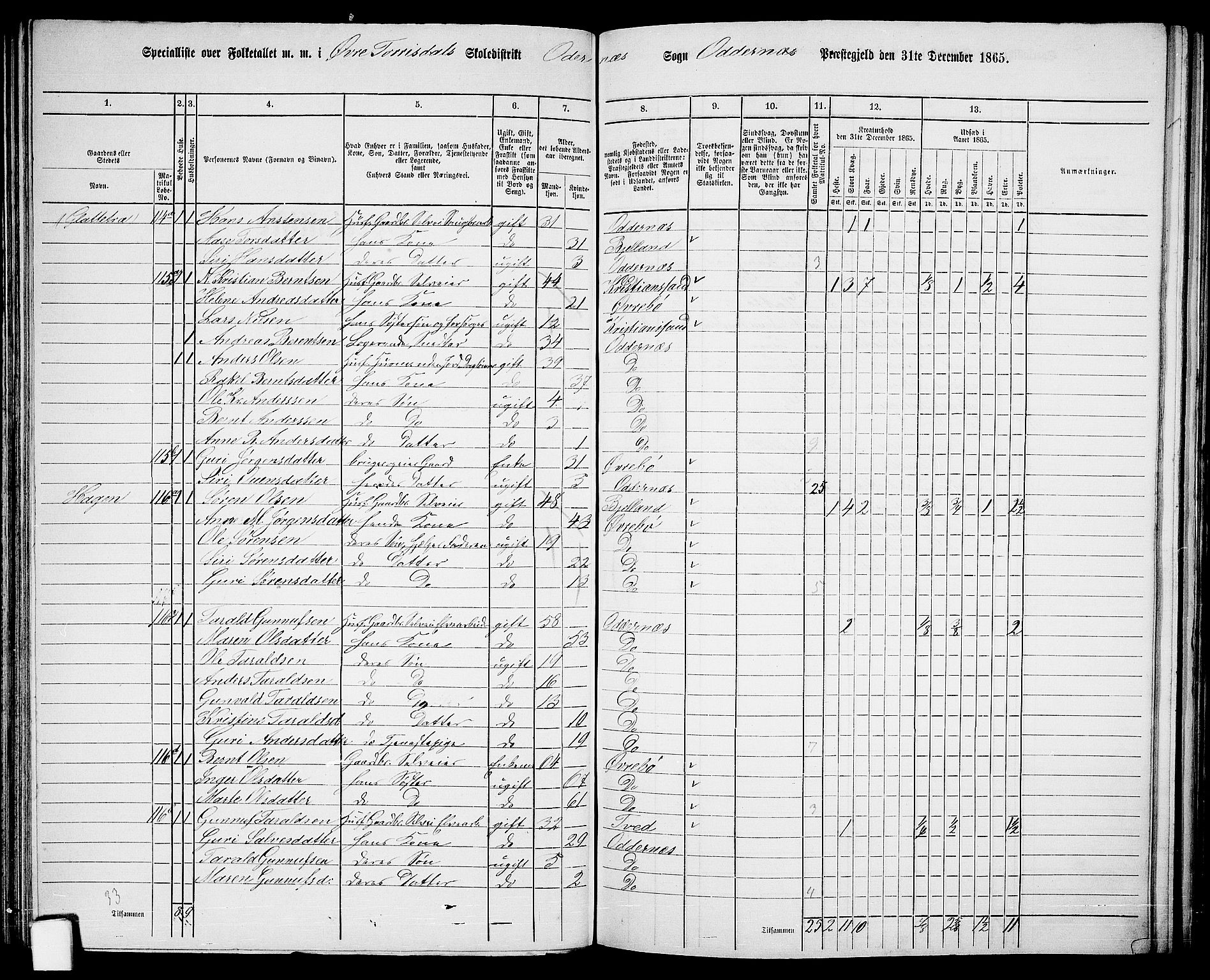 RA, 1865 census for Oddernes, 1865, p. 79