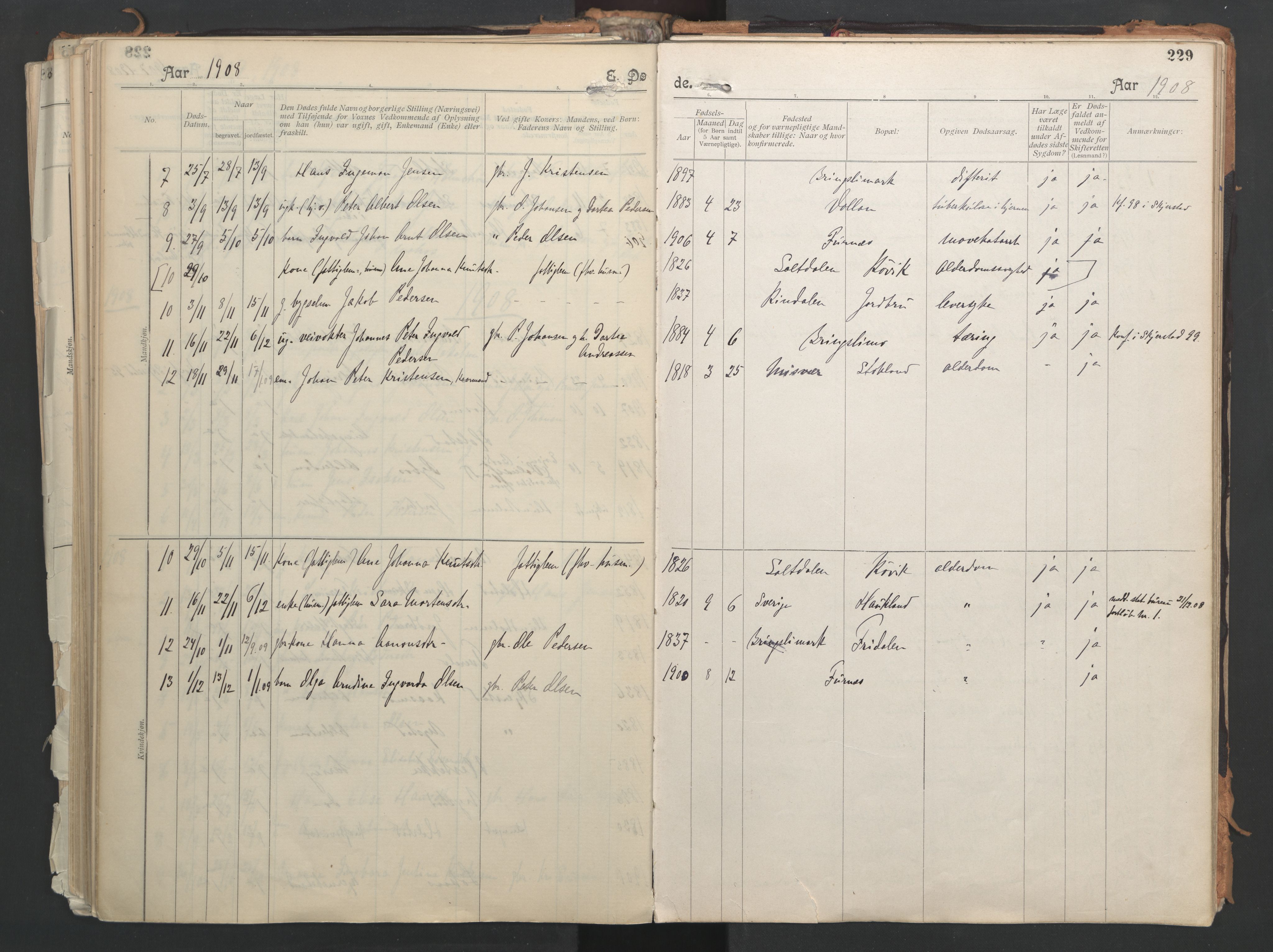 Ministerialprotokoller, klokkerbøker og fødselsregistre - Nordland, AV/SAT-A-1459/851/L0724: Parish register (official) no. 851A01, 1901-1922, p. 229