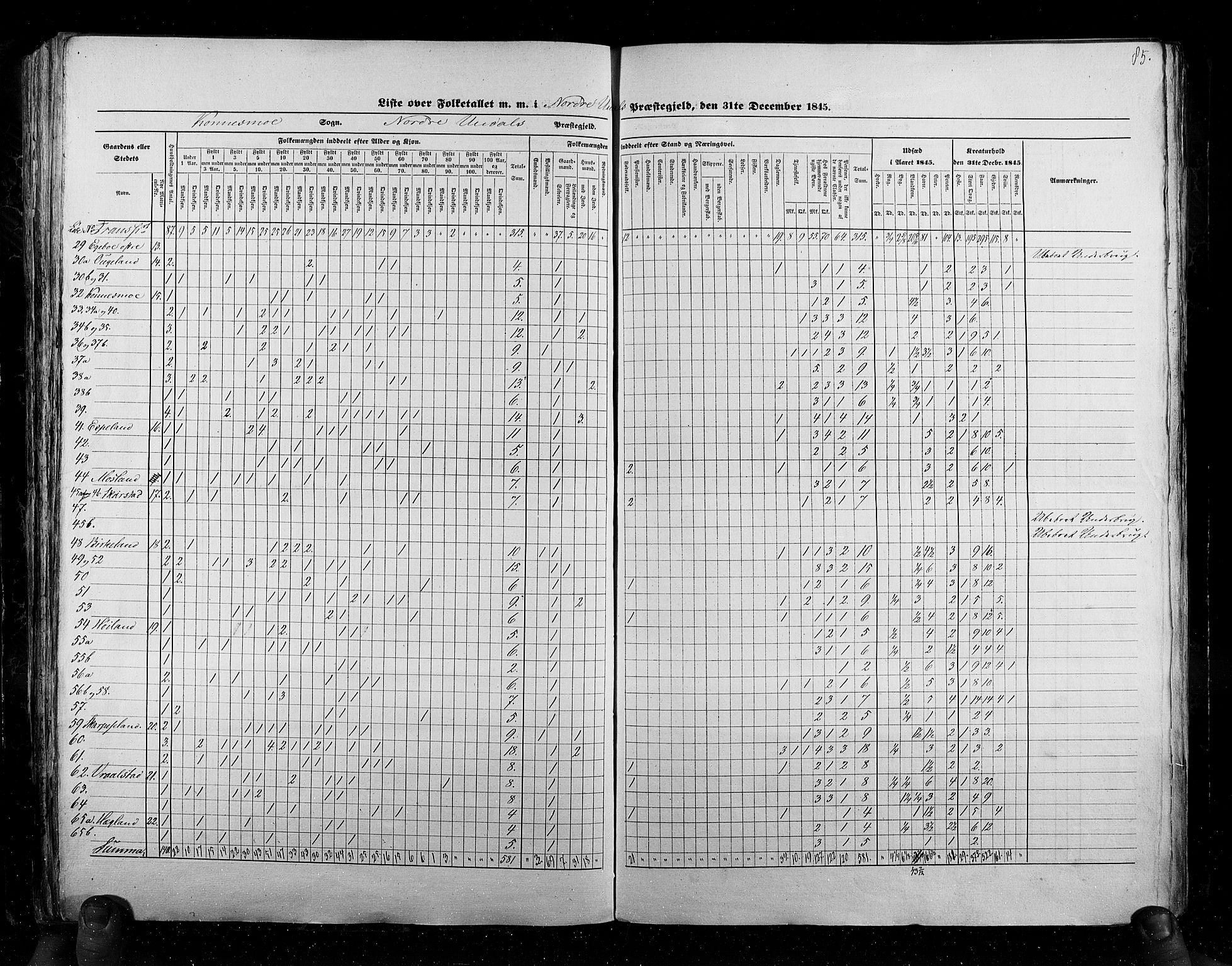 RA, Census 1845, vol. 6: Lister og Mandal amt og Stavanger amt, 1845, p. 85