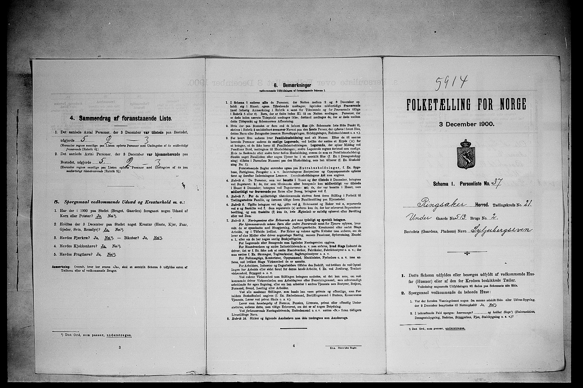 SAH, 1900 census for Ringsaker, 1900, p. 3677