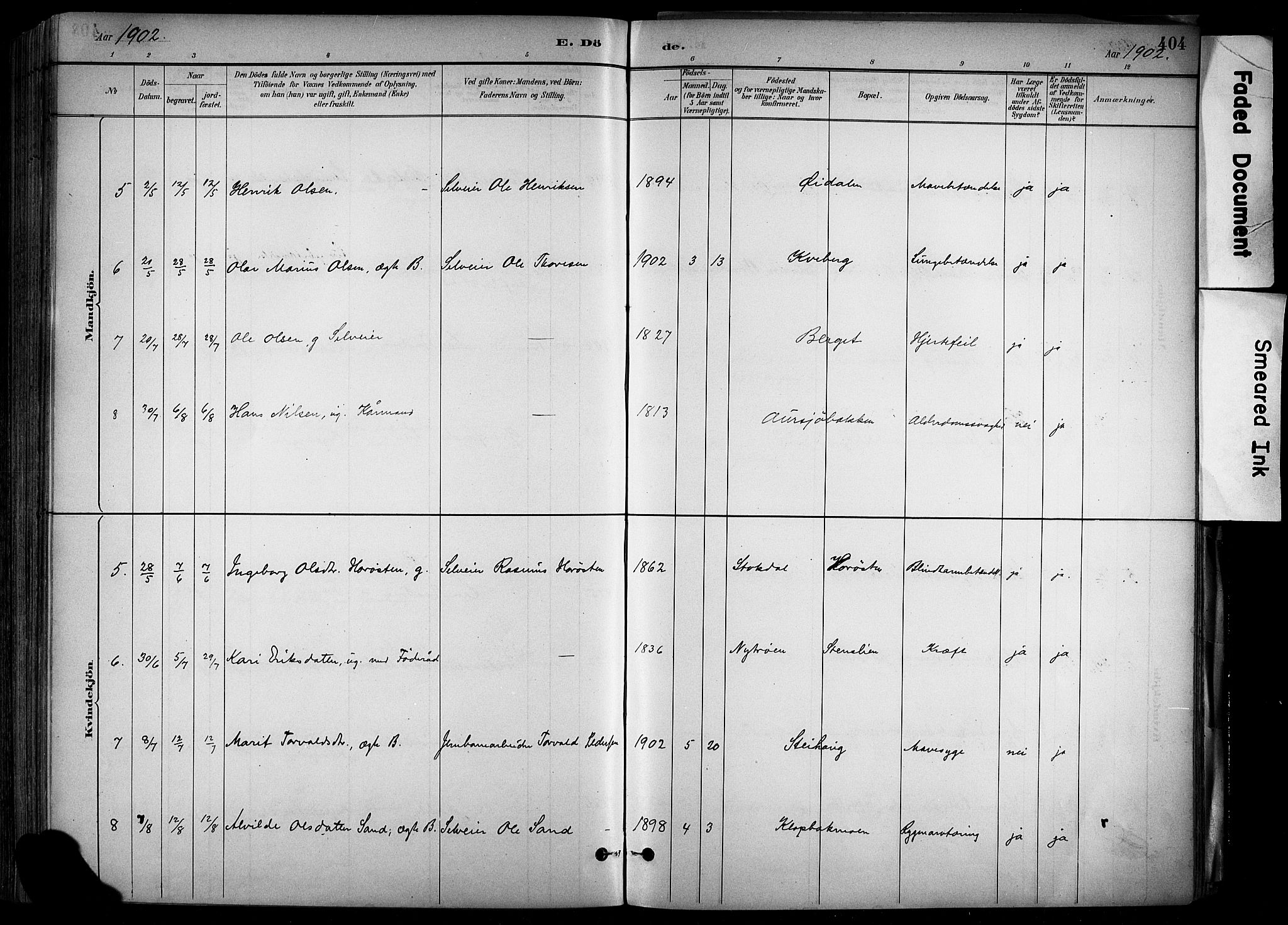 Alvdal prestekontor, AV/SAH-PREST-060/H/Ha/Haa/L0002: Parish register (official) no. 2, 1883-1906, p. 404