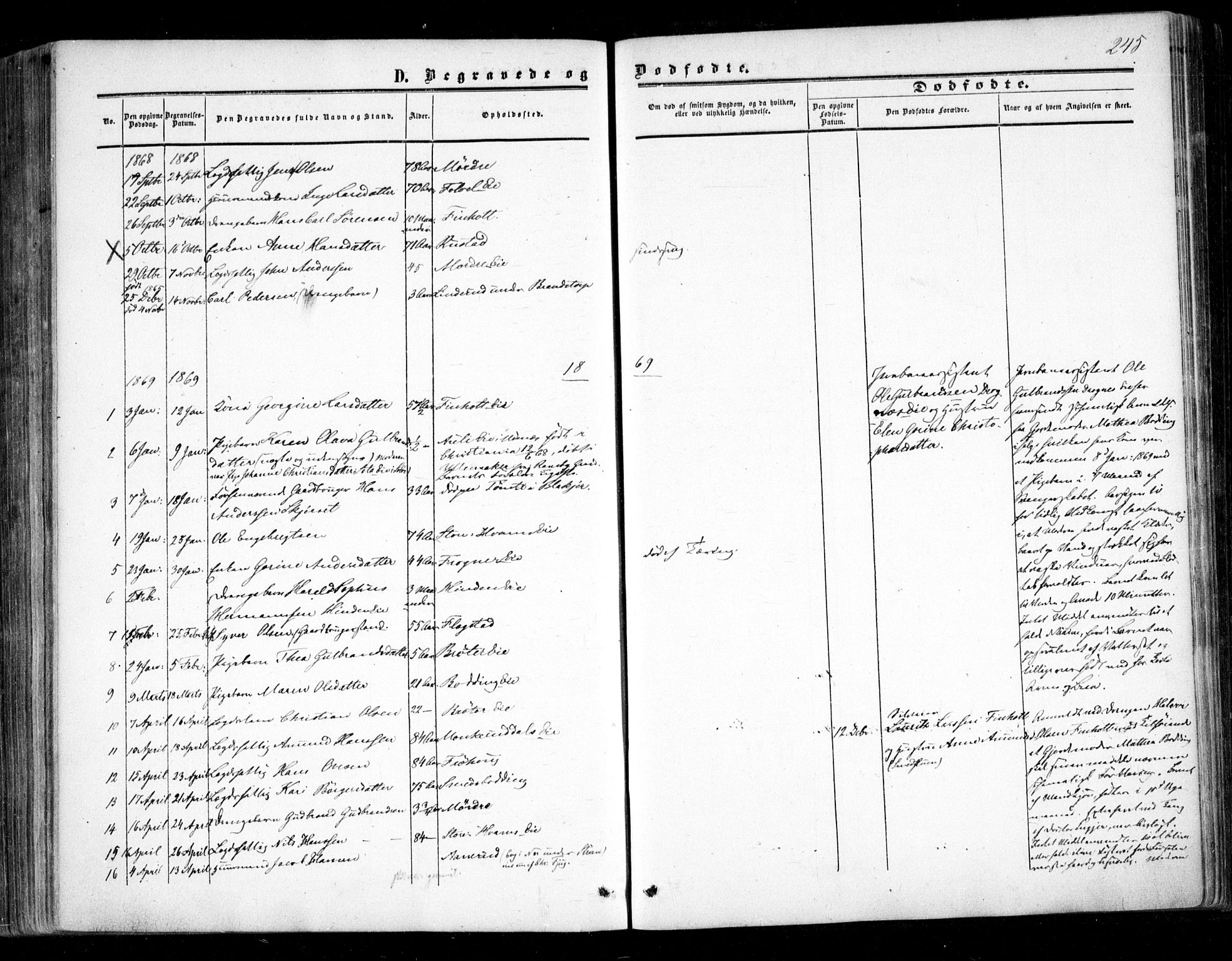 Nes prestekontor Kirkebøker, SAO/A-10410/F/Fc/L0001: Parish register (official) no. III 1, 1859-1882, p. 245