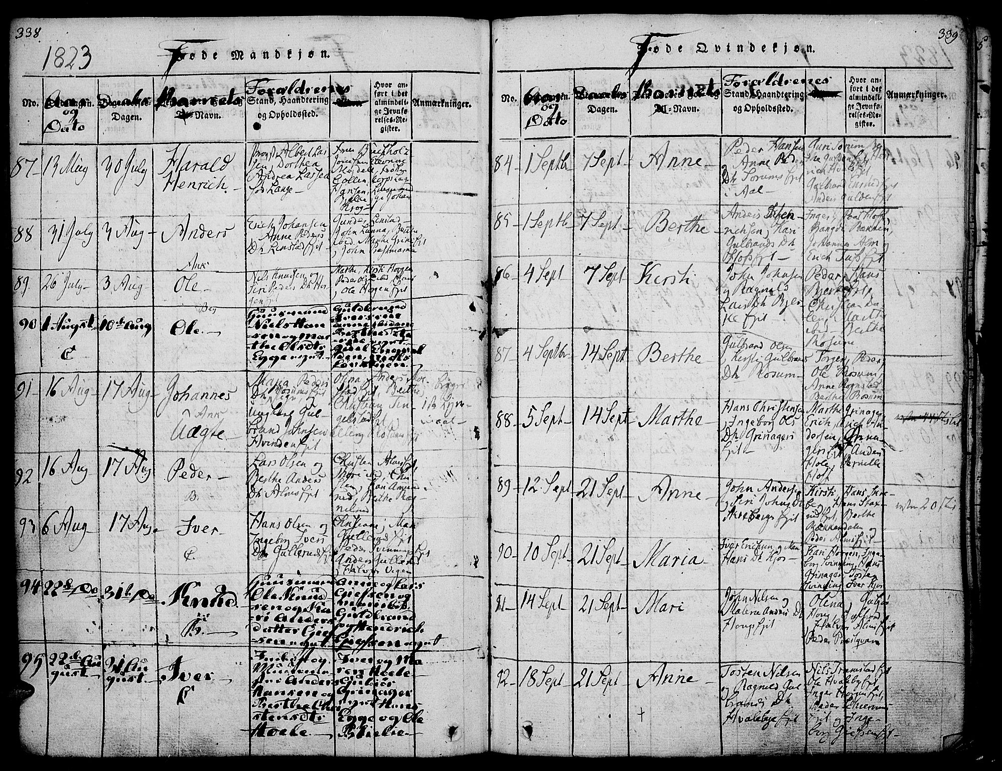 Gran prestekontor, AV/SAH-PREST-112/H/Ha/Haa/L0009: Parish register (official) no. 9, 1815-1824, p. 338-339