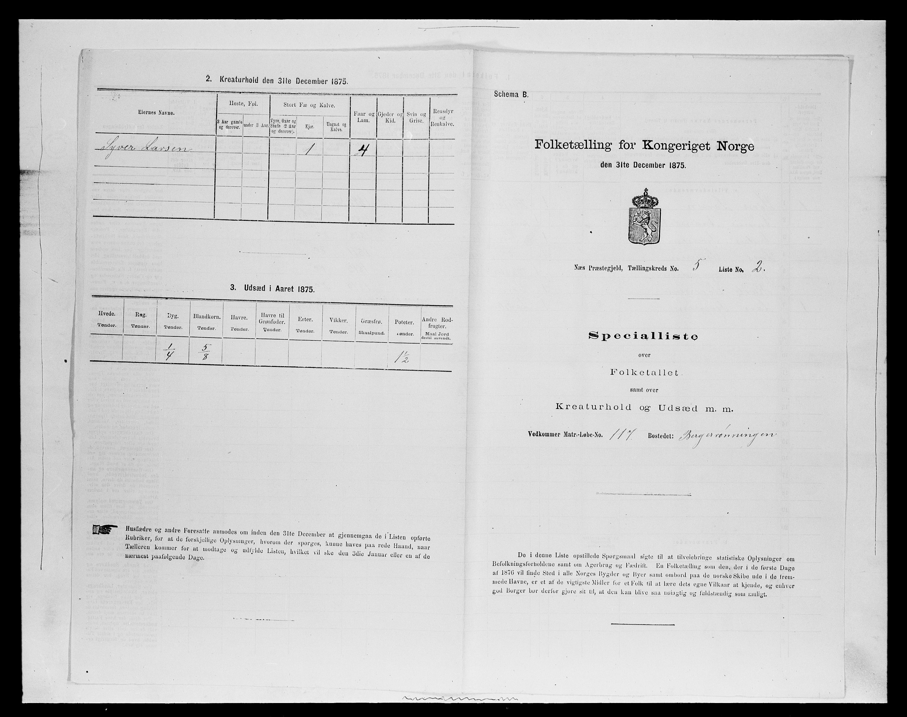 SAH, 1875 census for 0411P Nes, 1875, p. 790