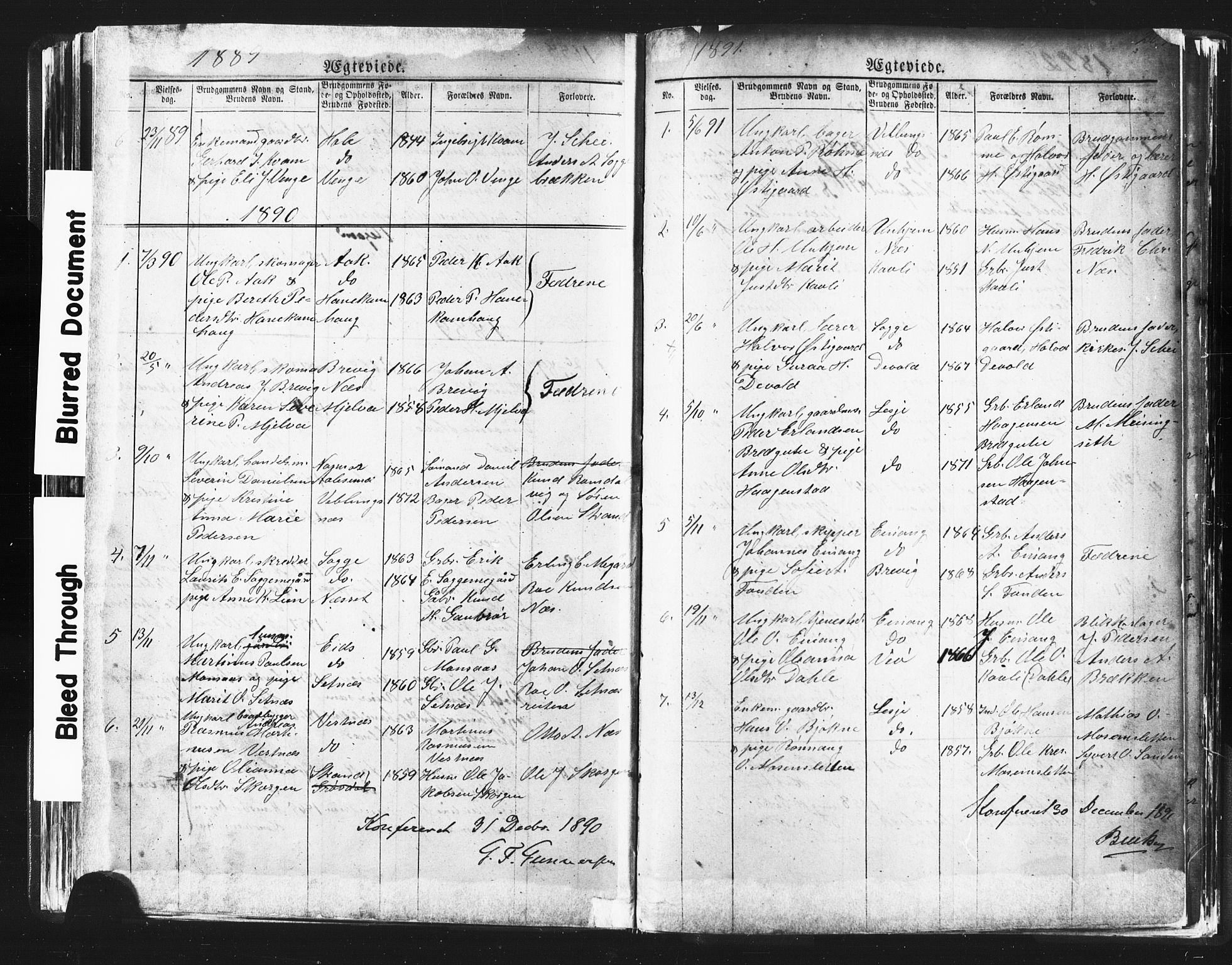 Ministerialprotokoller, klokkerbøker og fødselsregistre - Møre og Romsdal, AV/SAT-A-1454/544/L0580: Parish register (copy) no. 544C02, 1867-1909, p. 203