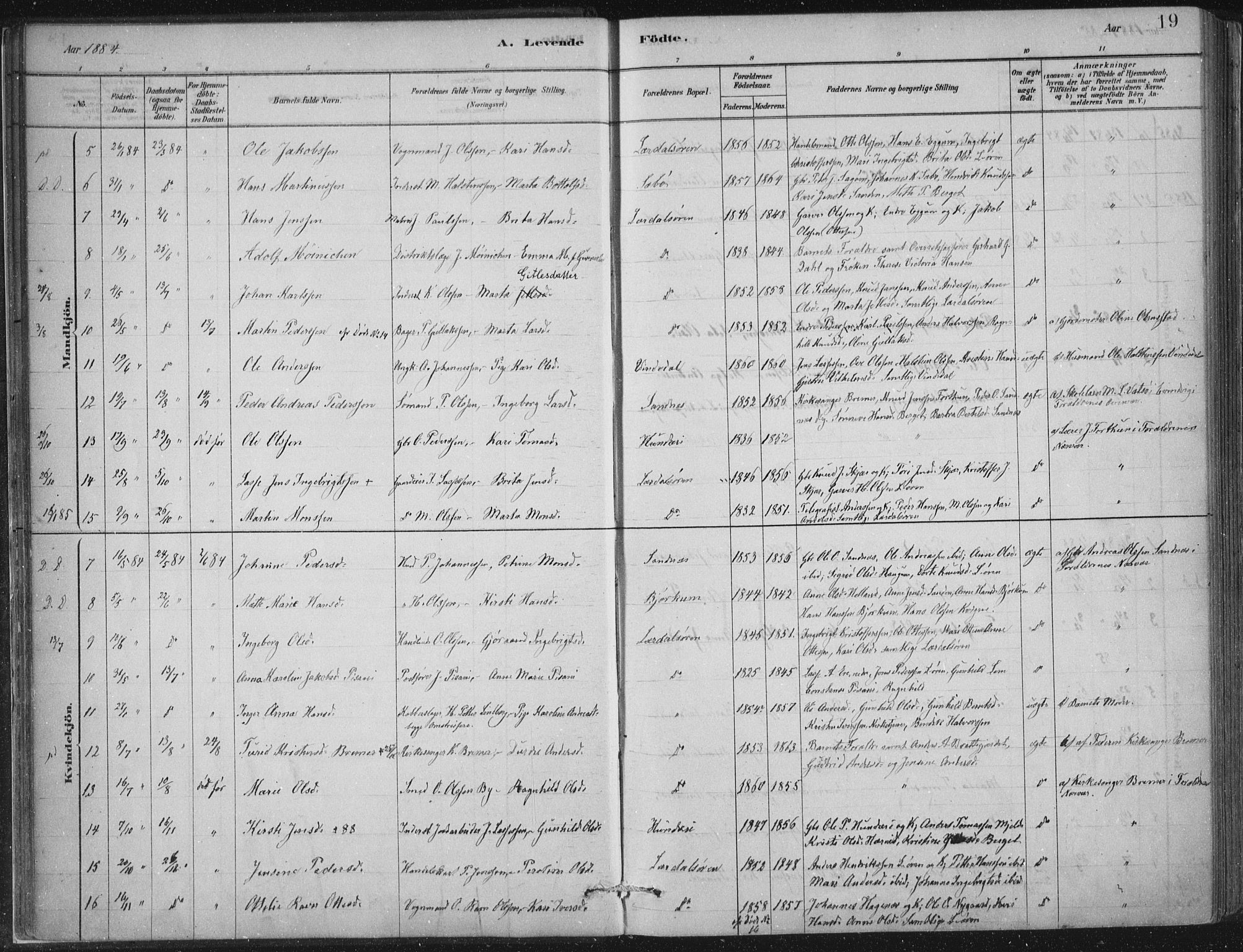 Lærdal sokneprestembete, SAB/A-81201: Parish register (official) no. D  1, 1878-1908, p. 19