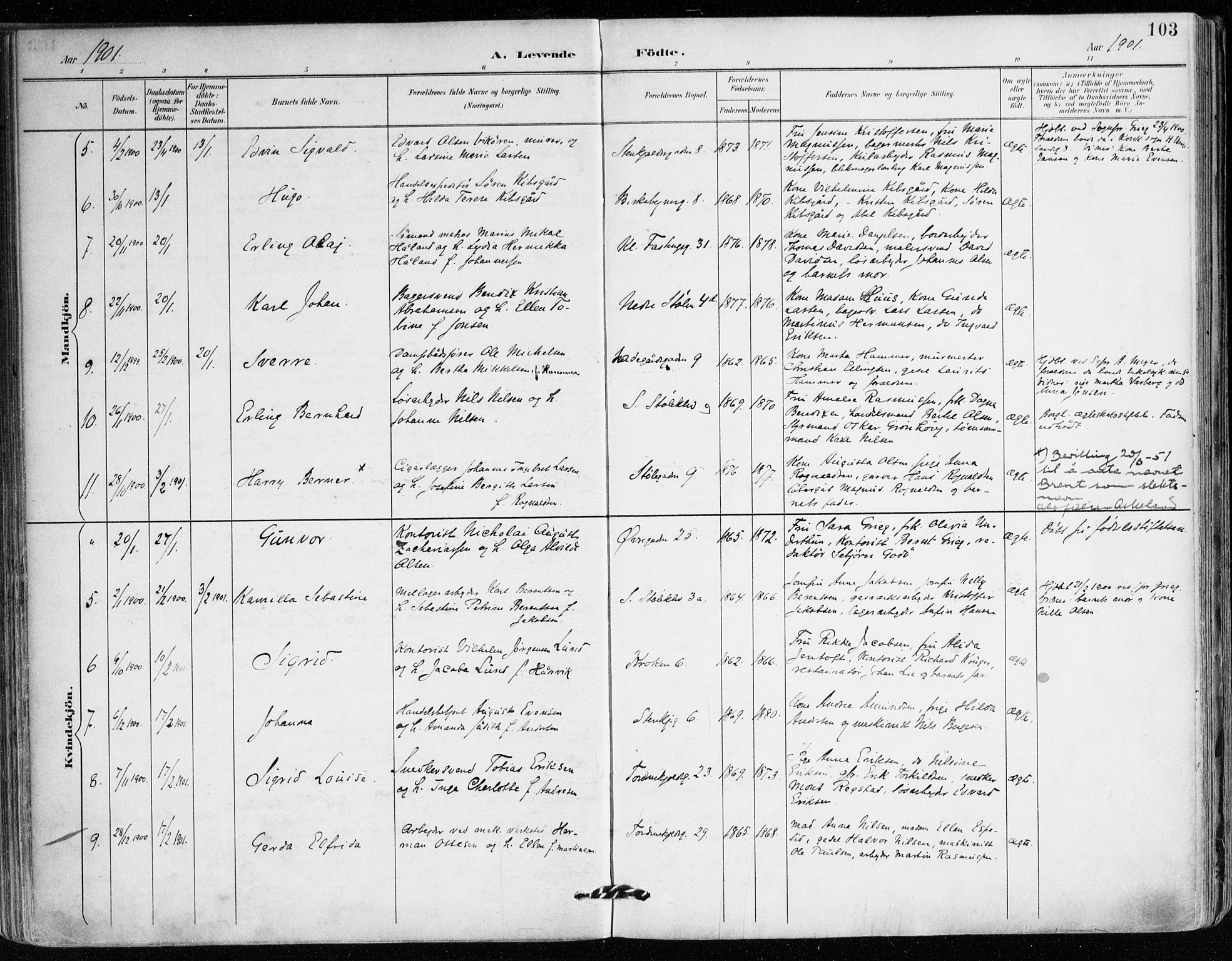Mariakirken Sokneprestembete, SAB/A-76901/H/Haa/L0008: Parish register (official) no. A 8, 1893-1942, p. 103