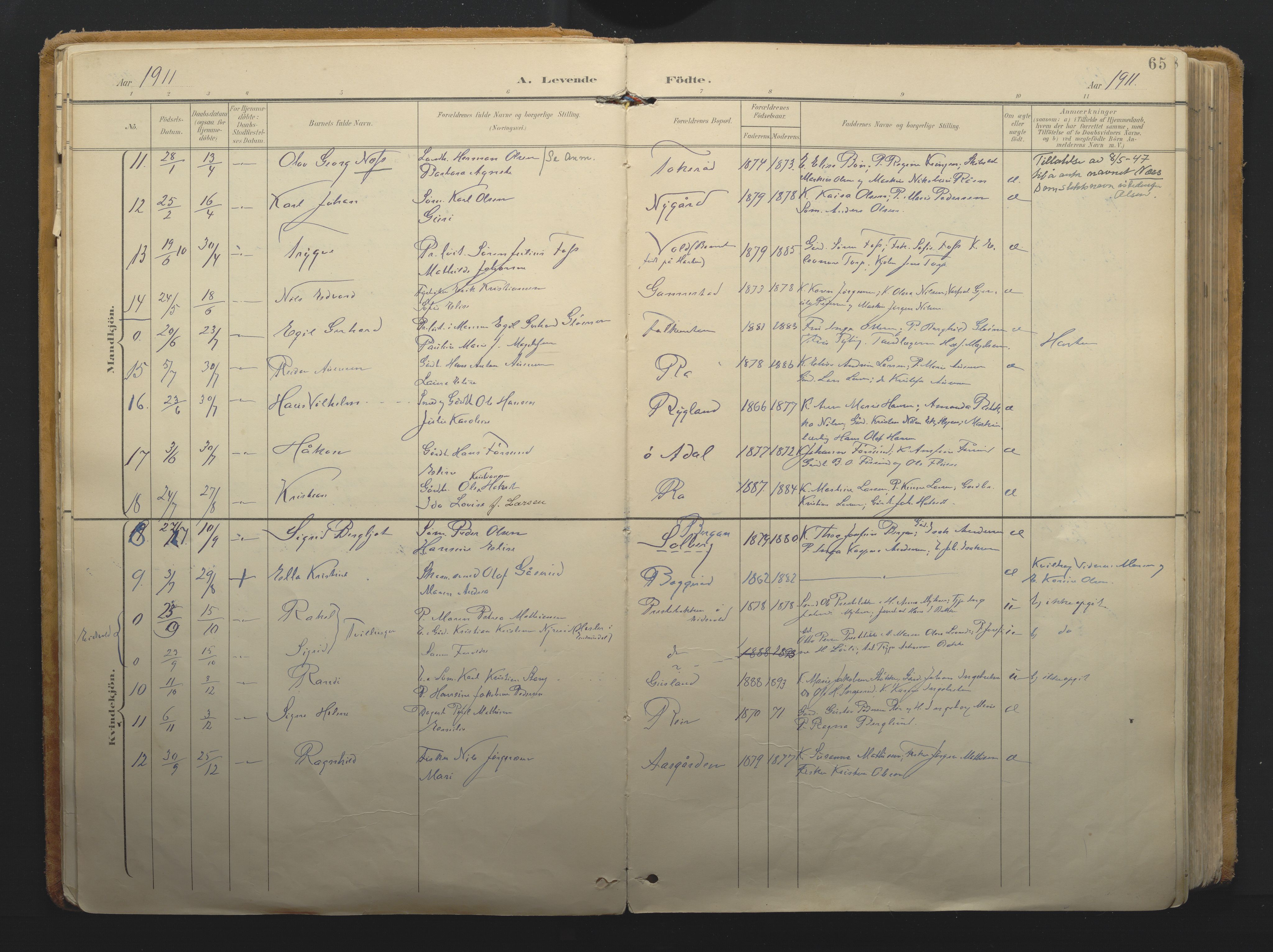 Borre kirkebøker, AV/SAKO-A-338/F/Fa/L0011: Parish register (official) no. I 11, 1897-1921, p. 65