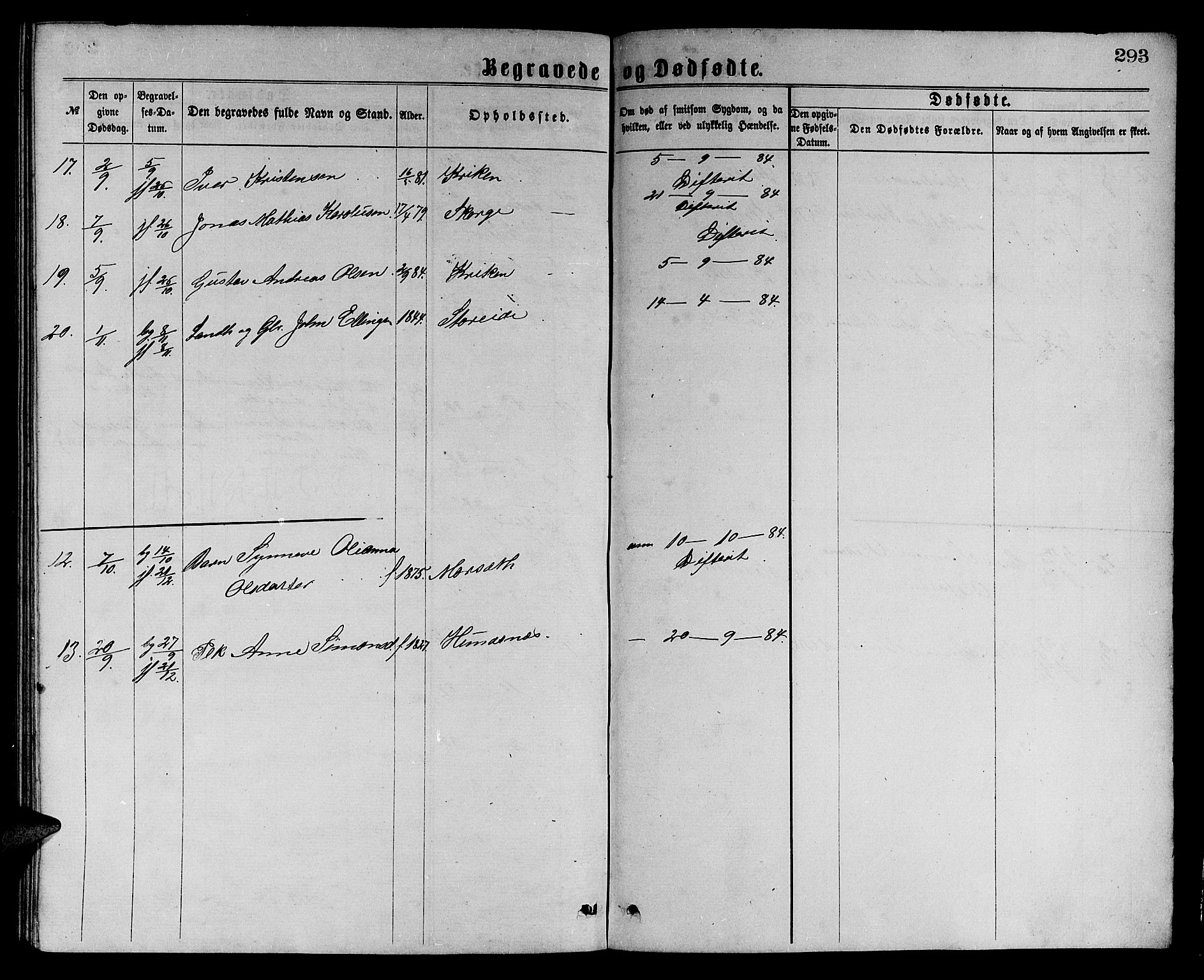 Ministerialprotokoller, klokkerbøker og fødselsregistre - Møre og Romsdal, AV/SAT-A-1454/501/L0016: Parish register (copy) no. 501C02, 1868-1884, p. 293