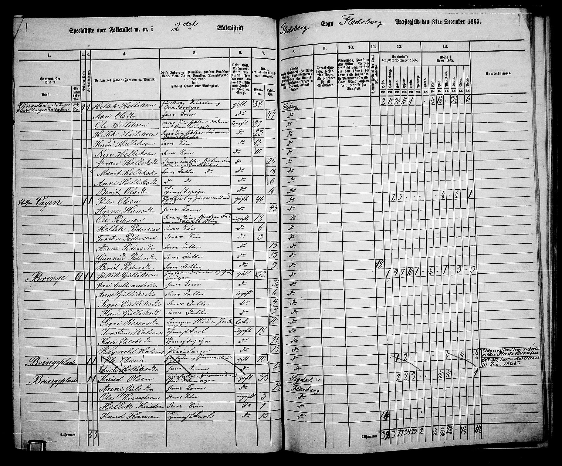 RA, 1865 census for Flesberg, 1865, p. 33