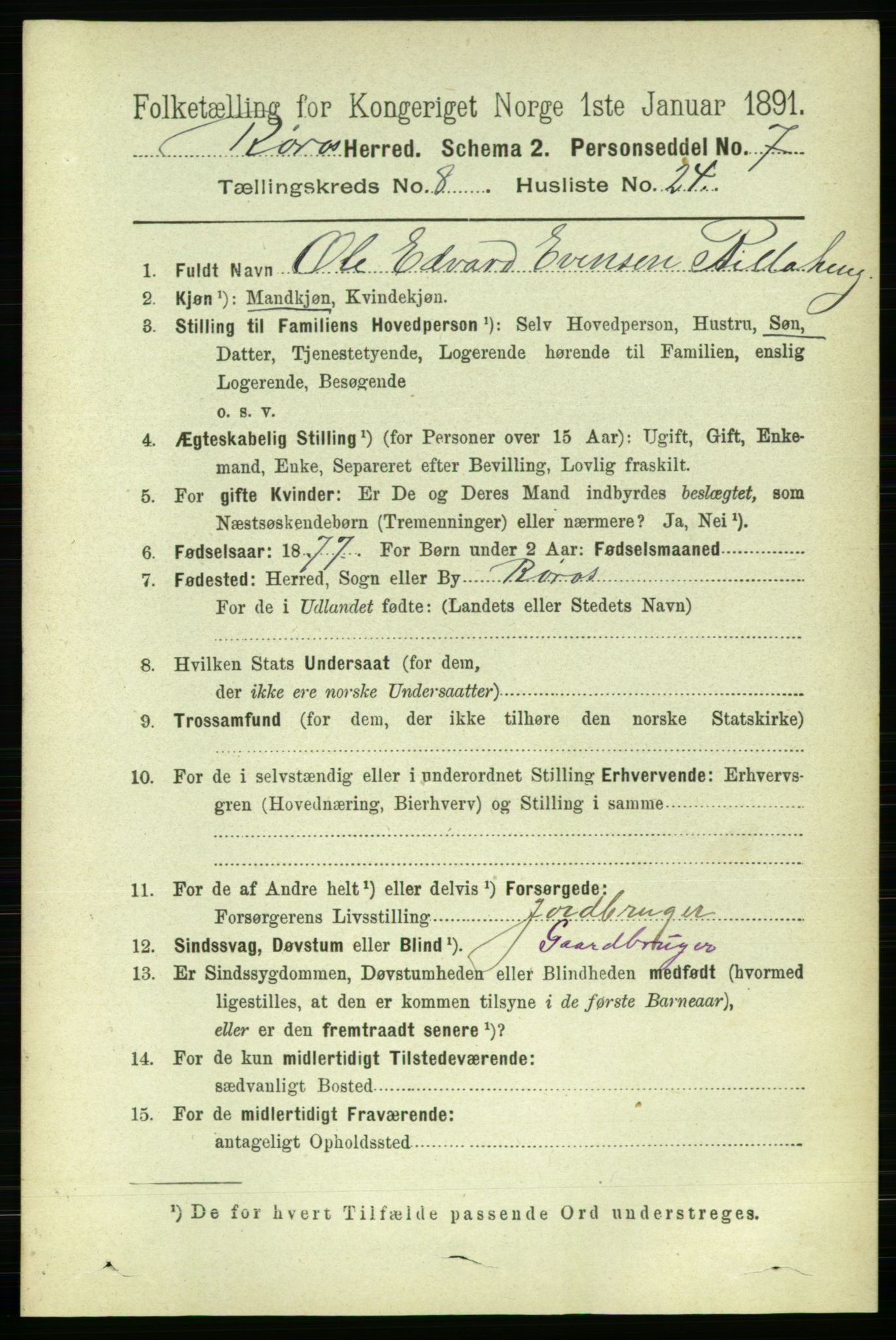 RA, 1891 census for 1640 Røros, 1891, p. 1778