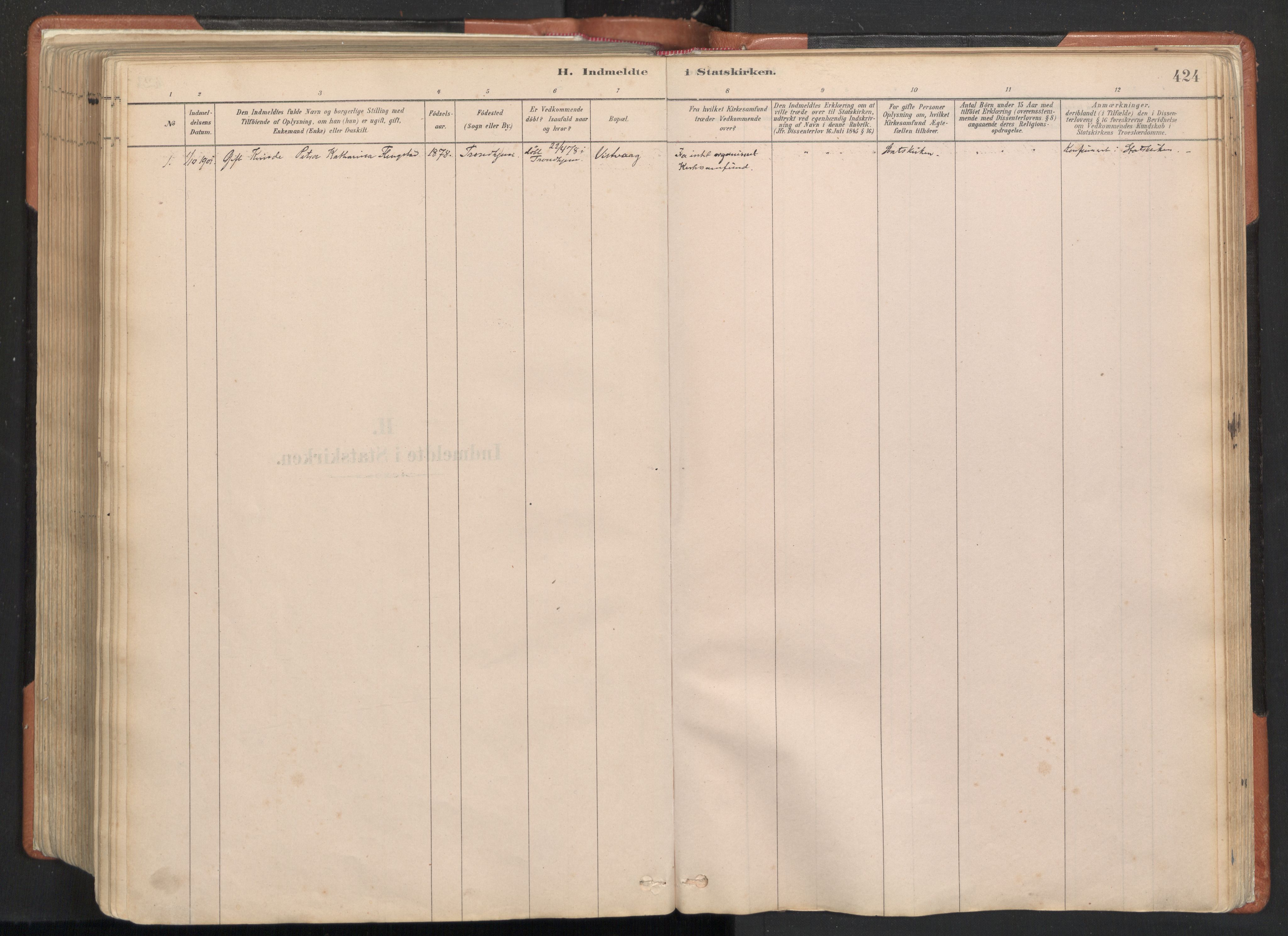 Ministerialprotokoller, klokkerbøker og fødselsregistre - Nordland, AV/SAT-A-1459/817/L0264: Parish register (official) no. 817A04, 1878-1907, p. 424