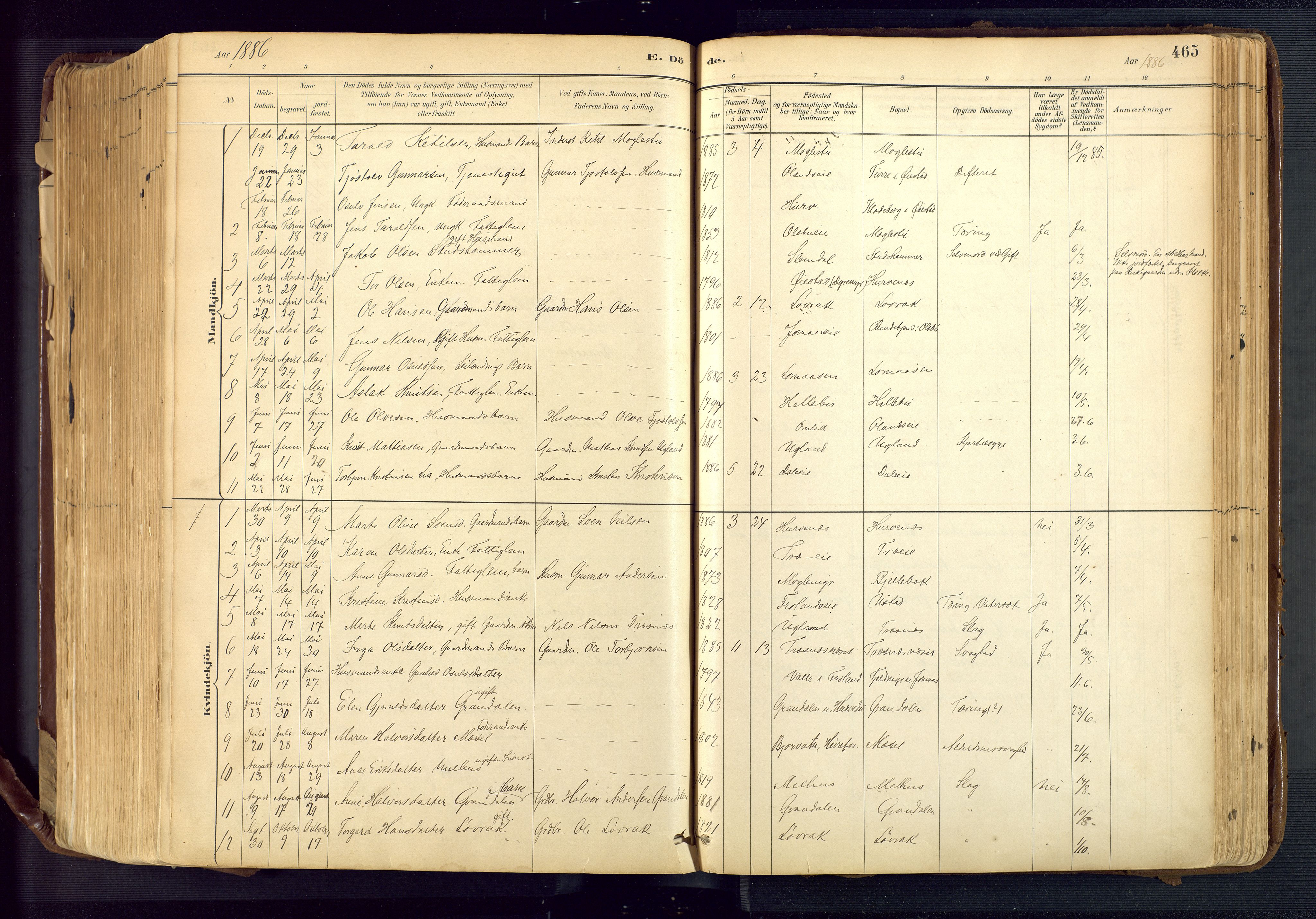 Froland sokneprestkontor, SAK/1111-0013/F/Fa/L0005: Parish register (official) no. A 5, 1882-1921, p. 465