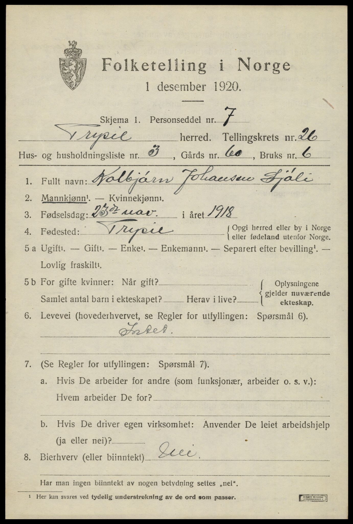 SAH, 1920 census for Trysil, 1920, p. 16155