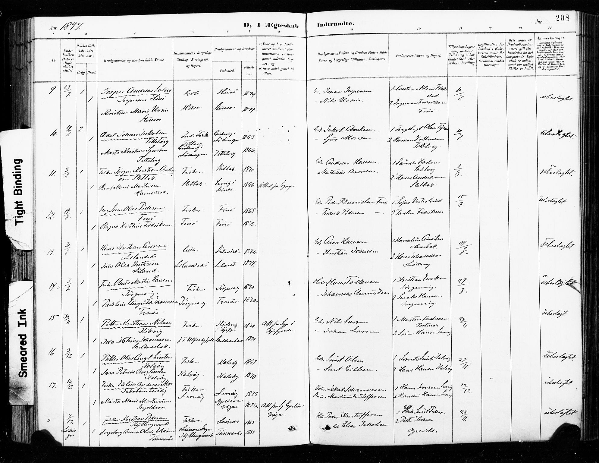 Ministerialprotokoller, klokkerbøker og fødselsregistre - Nordland, AV/SAT-A-1459/859/L0847: Parish register (official) no. 859A07, 1890-1899, p. 208