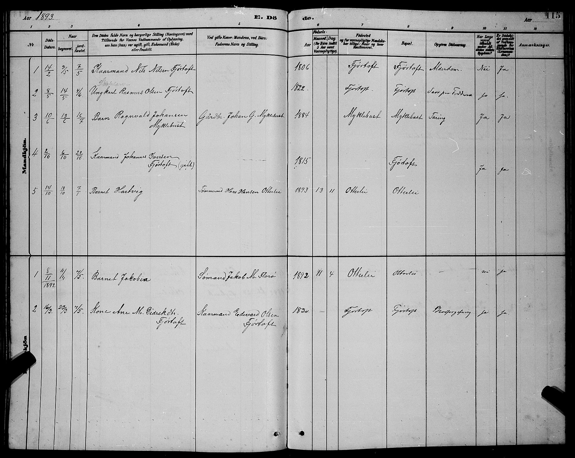 Ministerialprotokoller, klokkerbøker og fødselsregistre - Møre og Romsdal, AV/SAT-A-1454/538/L0523: Parish register (copy) no. 538C01, 1881-1900, p. 115