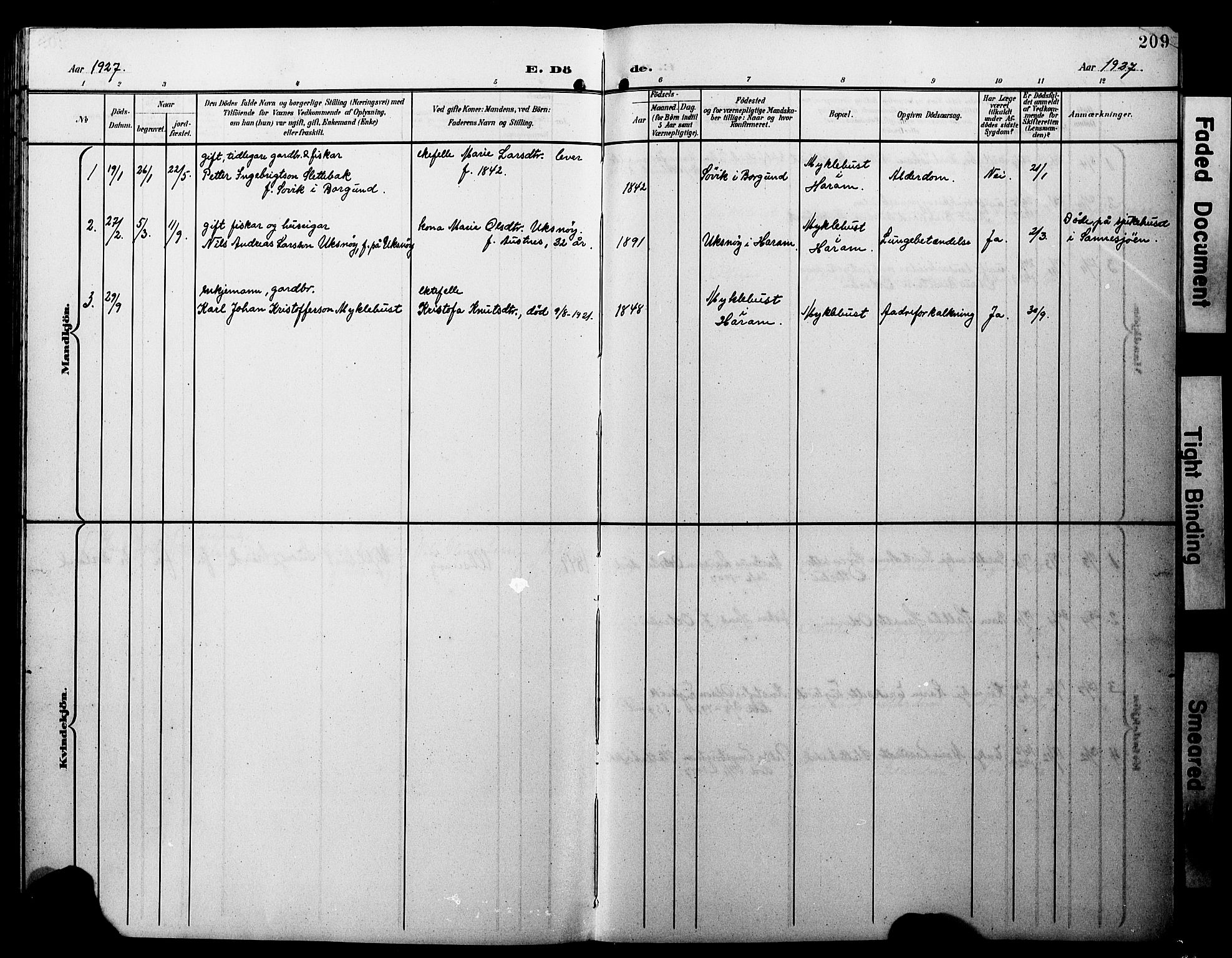 Ministerialprotokoller, klokkerbøker og fødselsregistre - Møre og Romsdal, AV/SAT-A-1454/538/L0524: Parish register (copy) no. 538C02, 1901-1931, p. 209