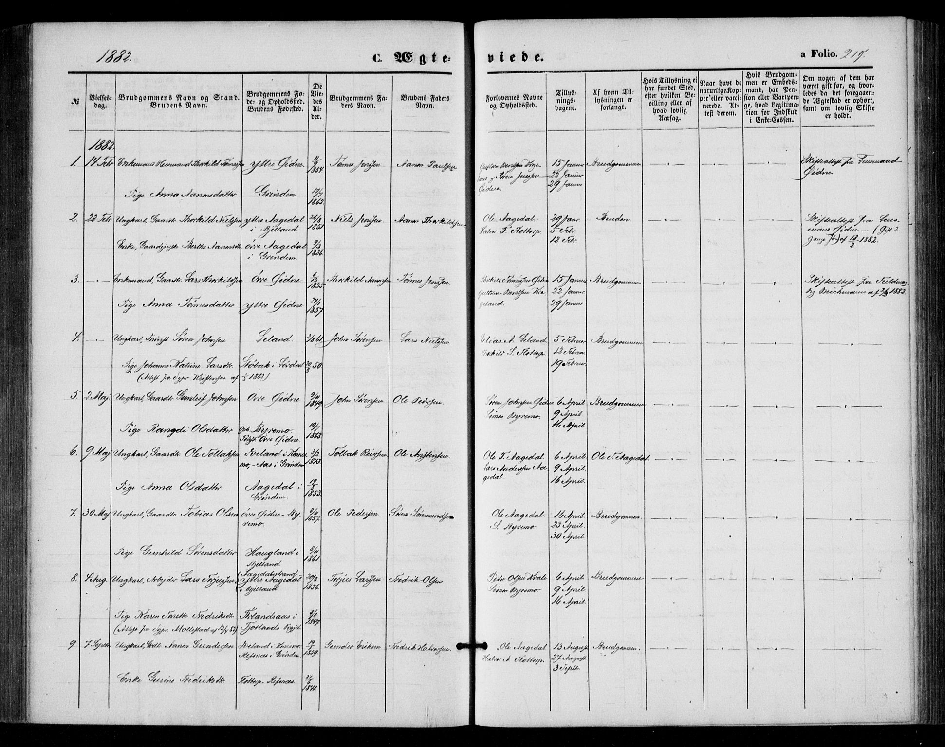 Bjelland sokneprestkontor, AV/SAK-1111-0005/F/Fa/Fac/L0002: Parish register (official) no. A 2, 1866-1887, p. 219