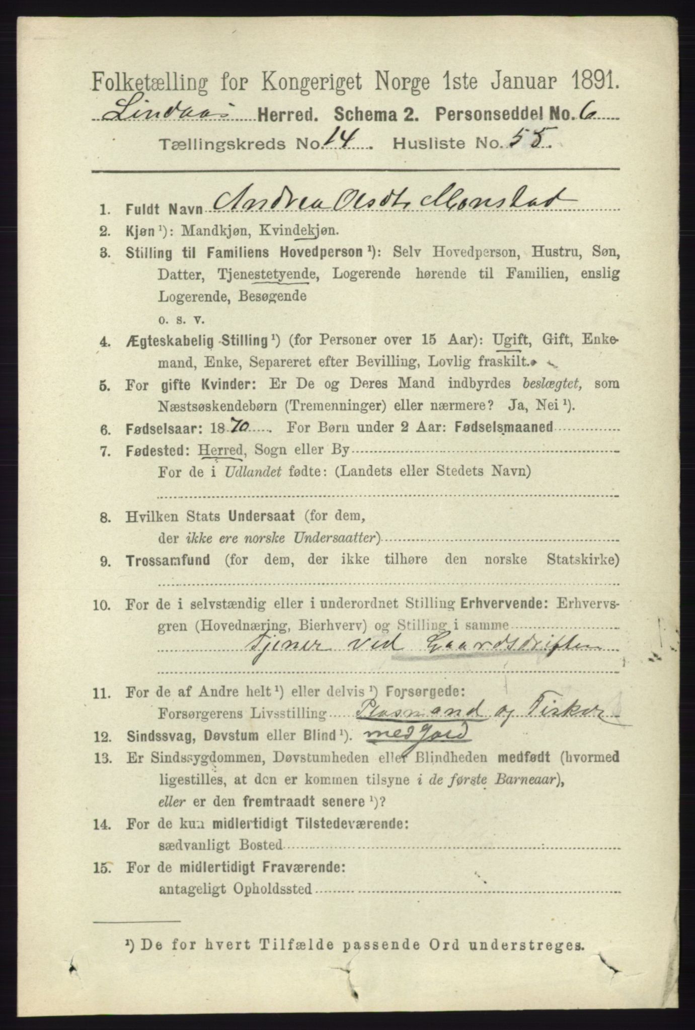 RA, 1891 census for 1263 Lindås, 1891, p. 5206