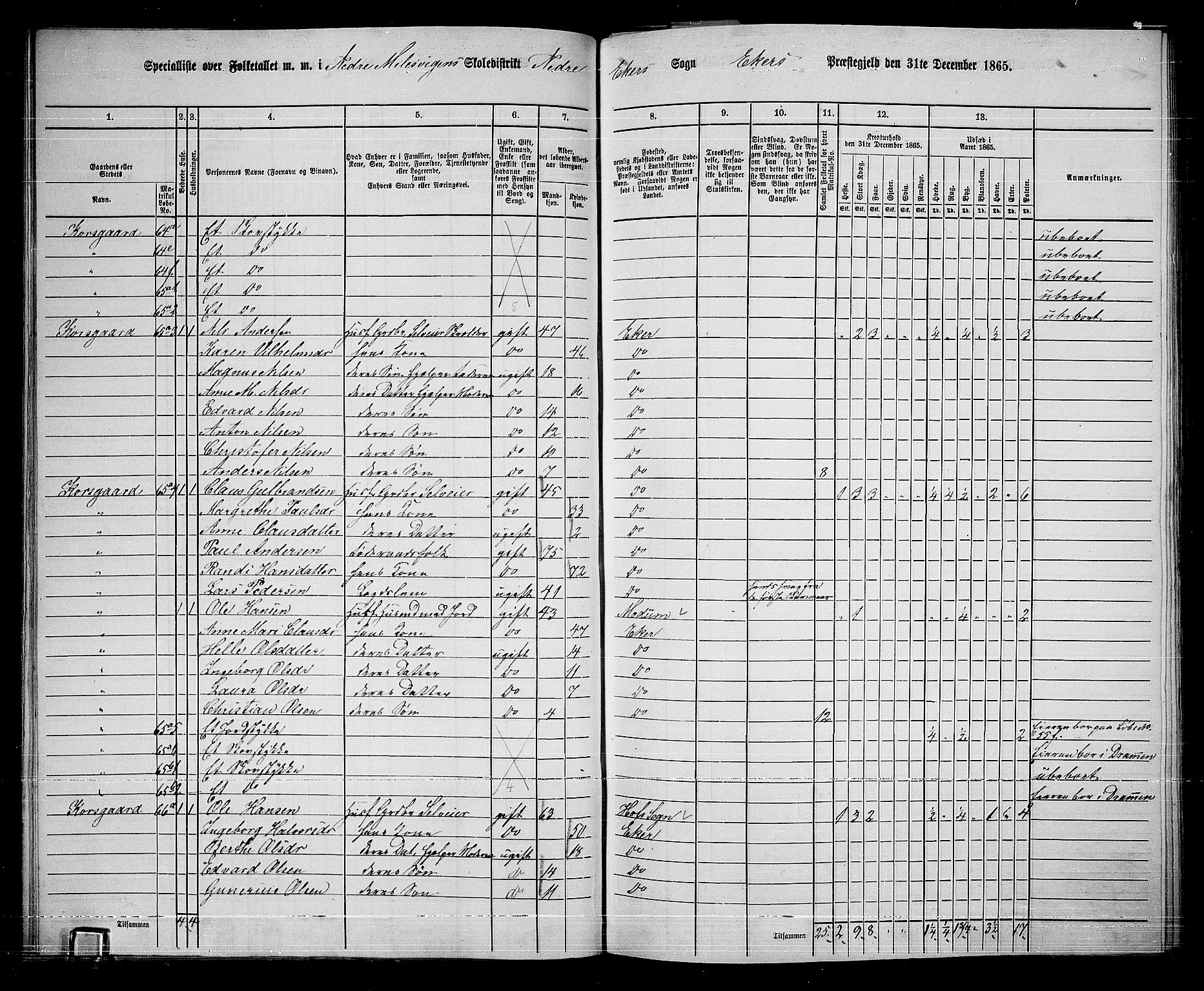 RA, 1865 census for Eiker, 1865, p. 302