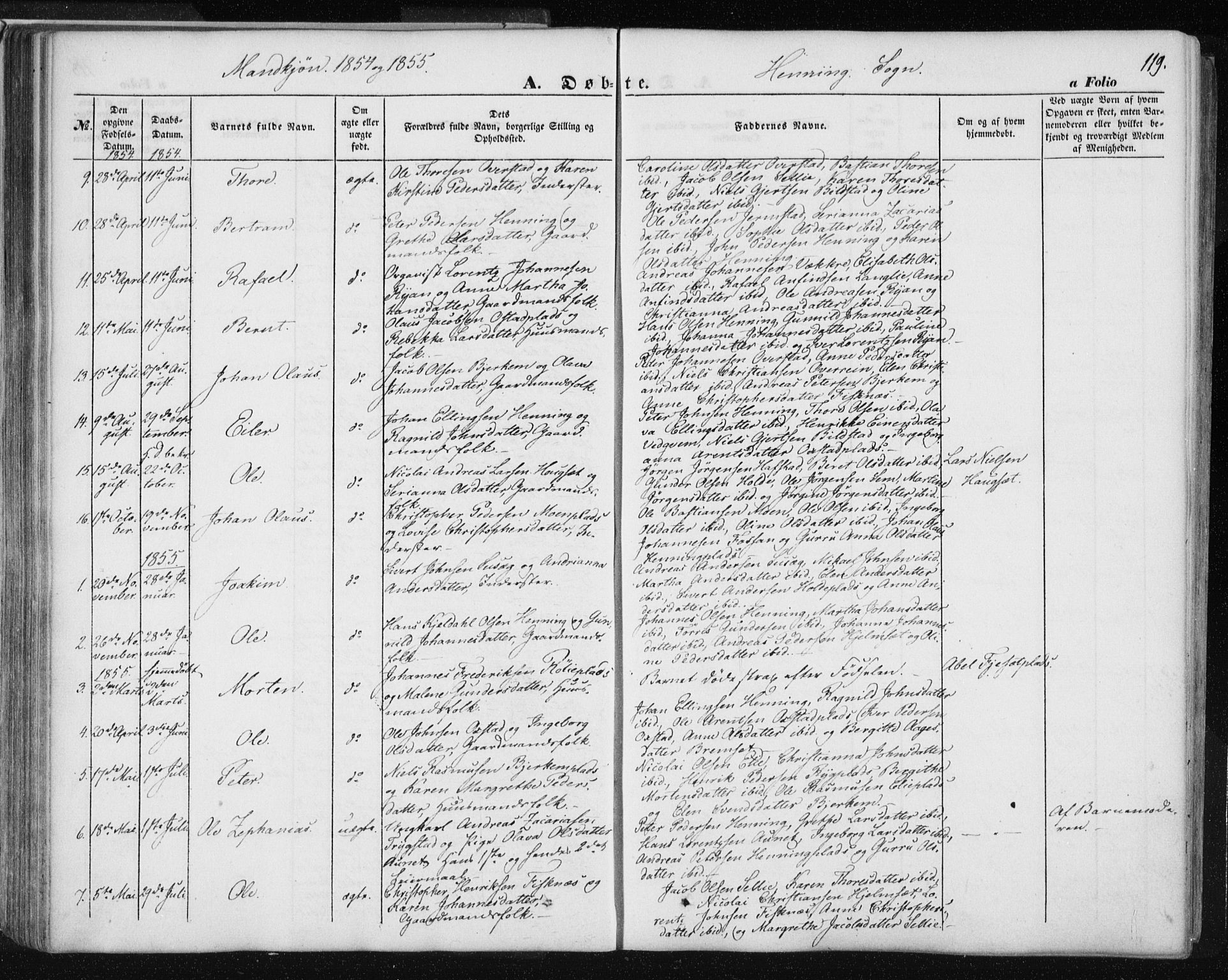 Ministerialprotokoller, klokkerbøker og fødselsregistre - Nord-Trøndelag, SAT/A-1458/735/L0342: Parish register (official) no. 735A07 /3, 1849-1862, p. 119