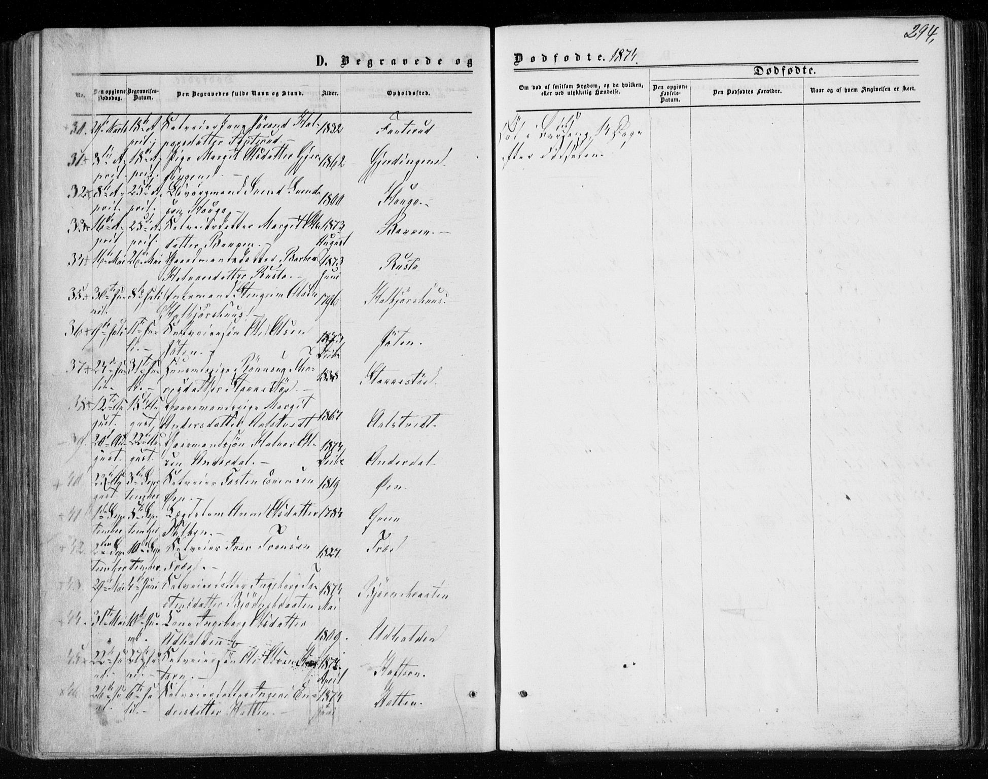 Gol kirkebøker, AV/SAKO-A-226/F/Fa/L0003: Parish register (official) no. I 3, 1863-1875, p. 294