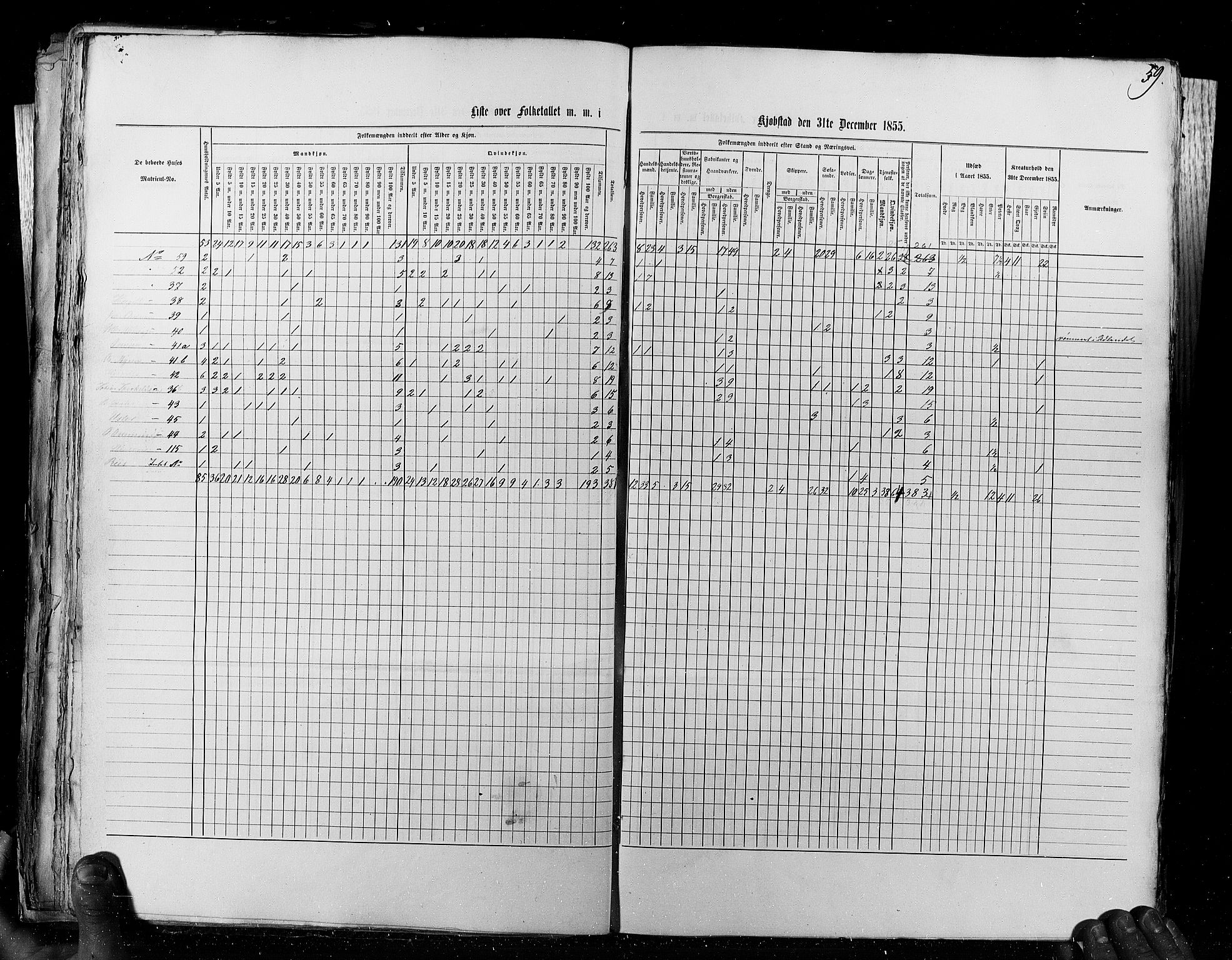 RA, Census 1855, vol. 8: Risør-Vadsø, 1855, p. 59