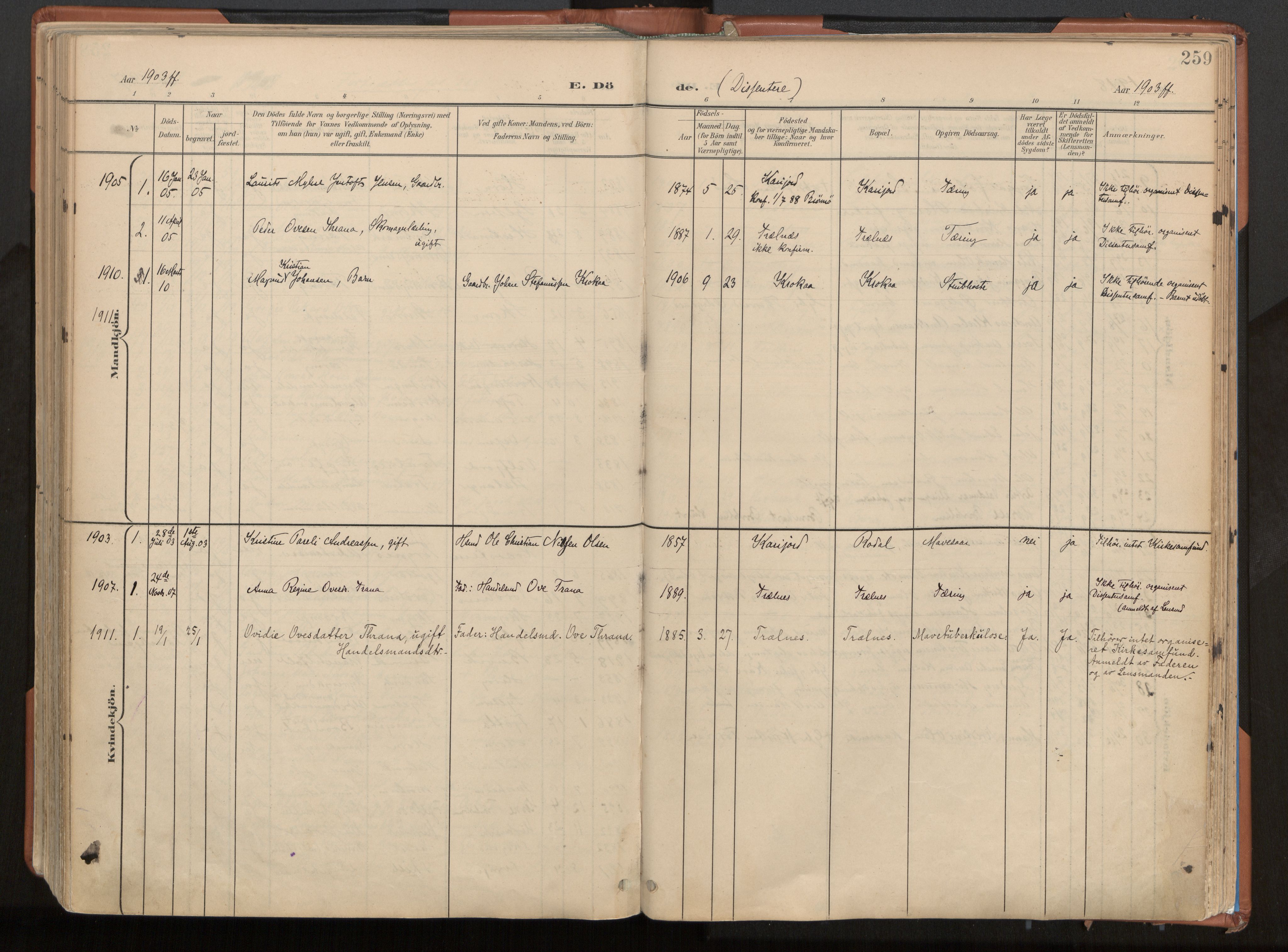 Ministerialprotokoller, klokkerbøker og fødselsregistre - Nordland, SAT/A-1459/813/L0201: Parish register (official) no. 813A11, 1901-1918, p. 259