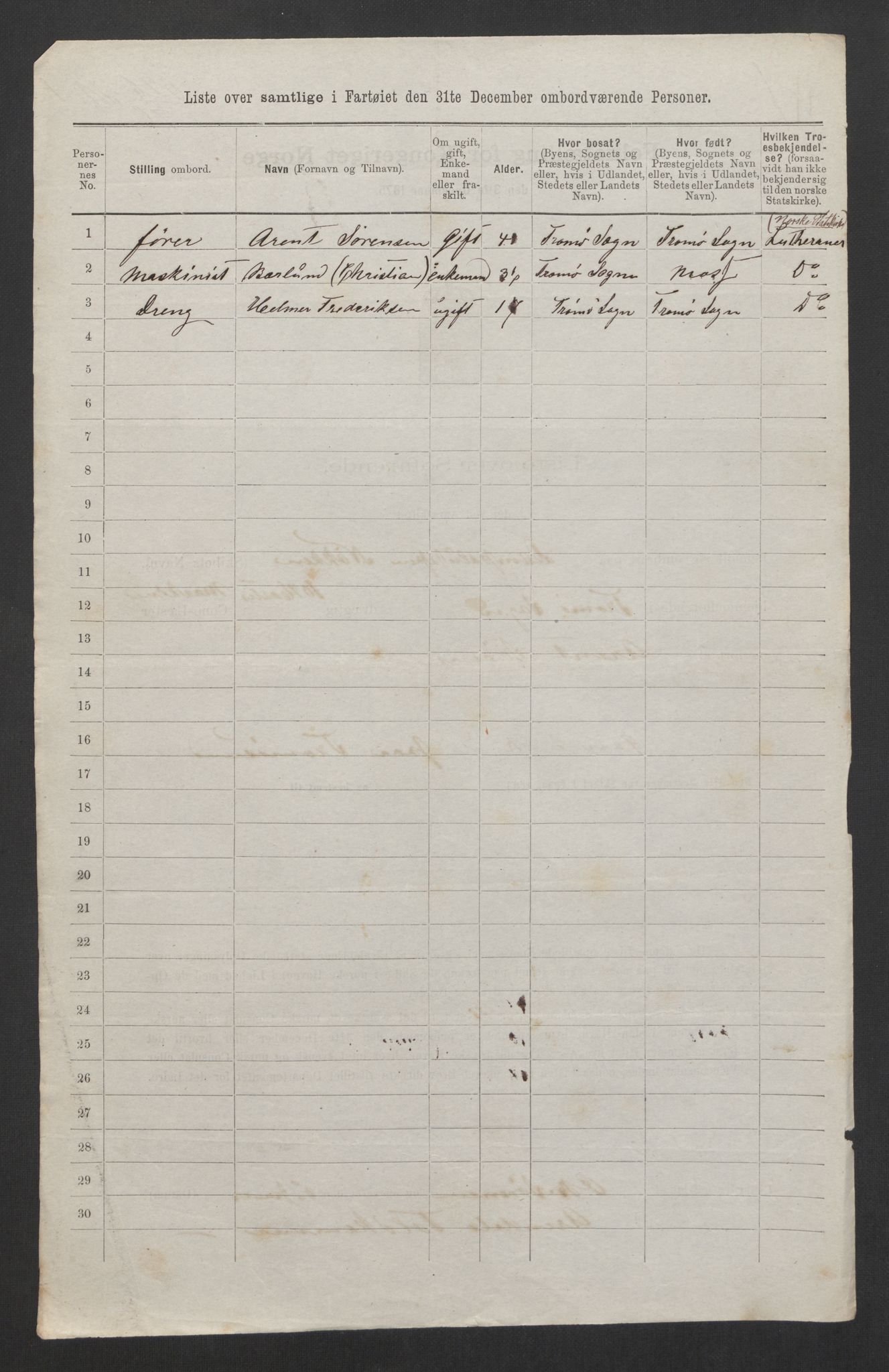 RA, 1875 census, lists of crew on ships: Ships in domestic ports, 1875, p. 29