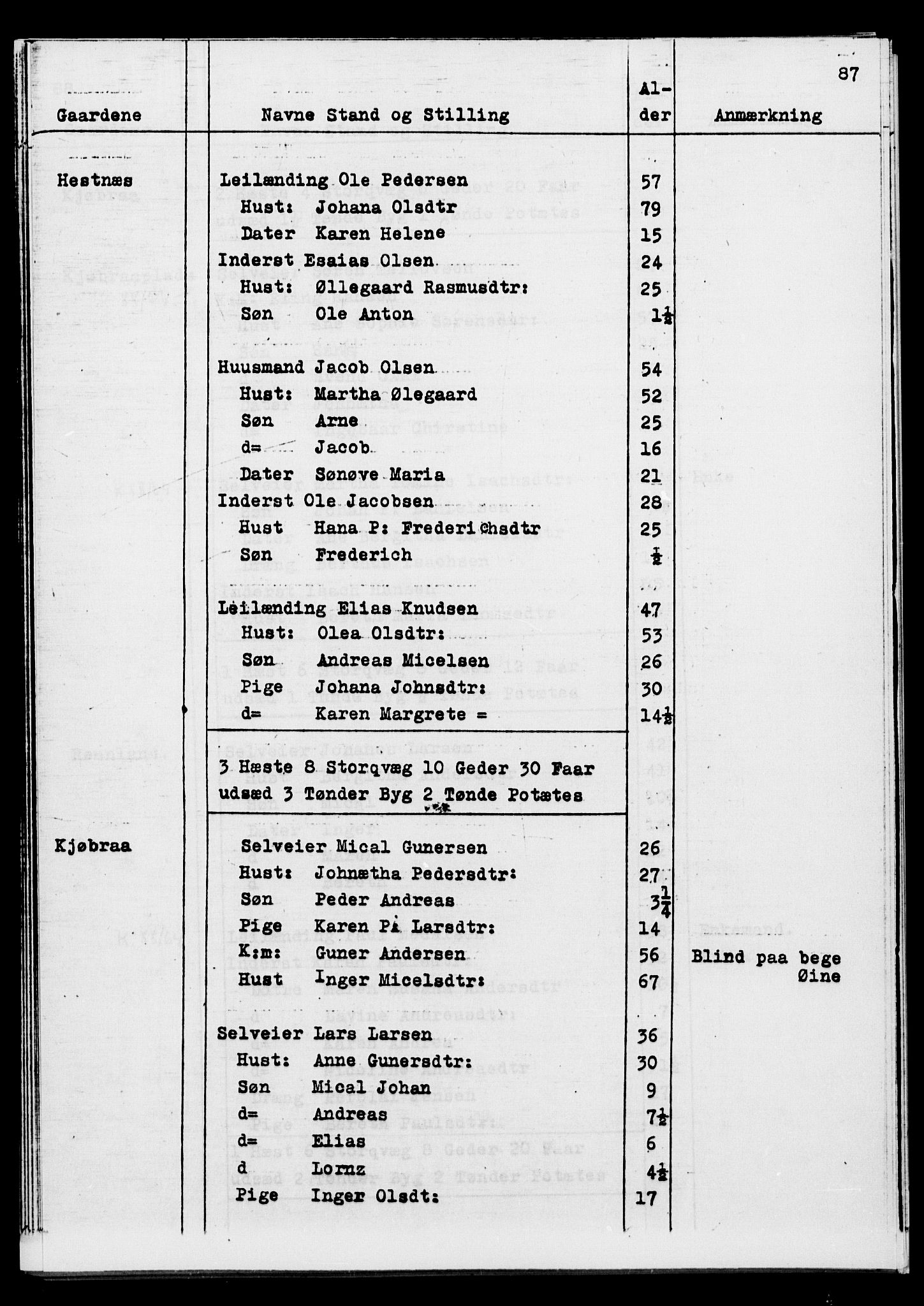 SATØ, Census 1845 for Ibestad, 1845, p. 87