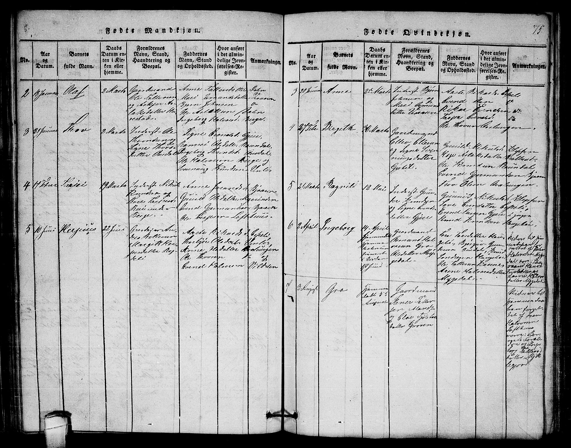 Lårdal kirkebøker, SAKO/A-284/G/Gb/L0001: Parish register (copy) no. II 1, 1815-1865, p. 75