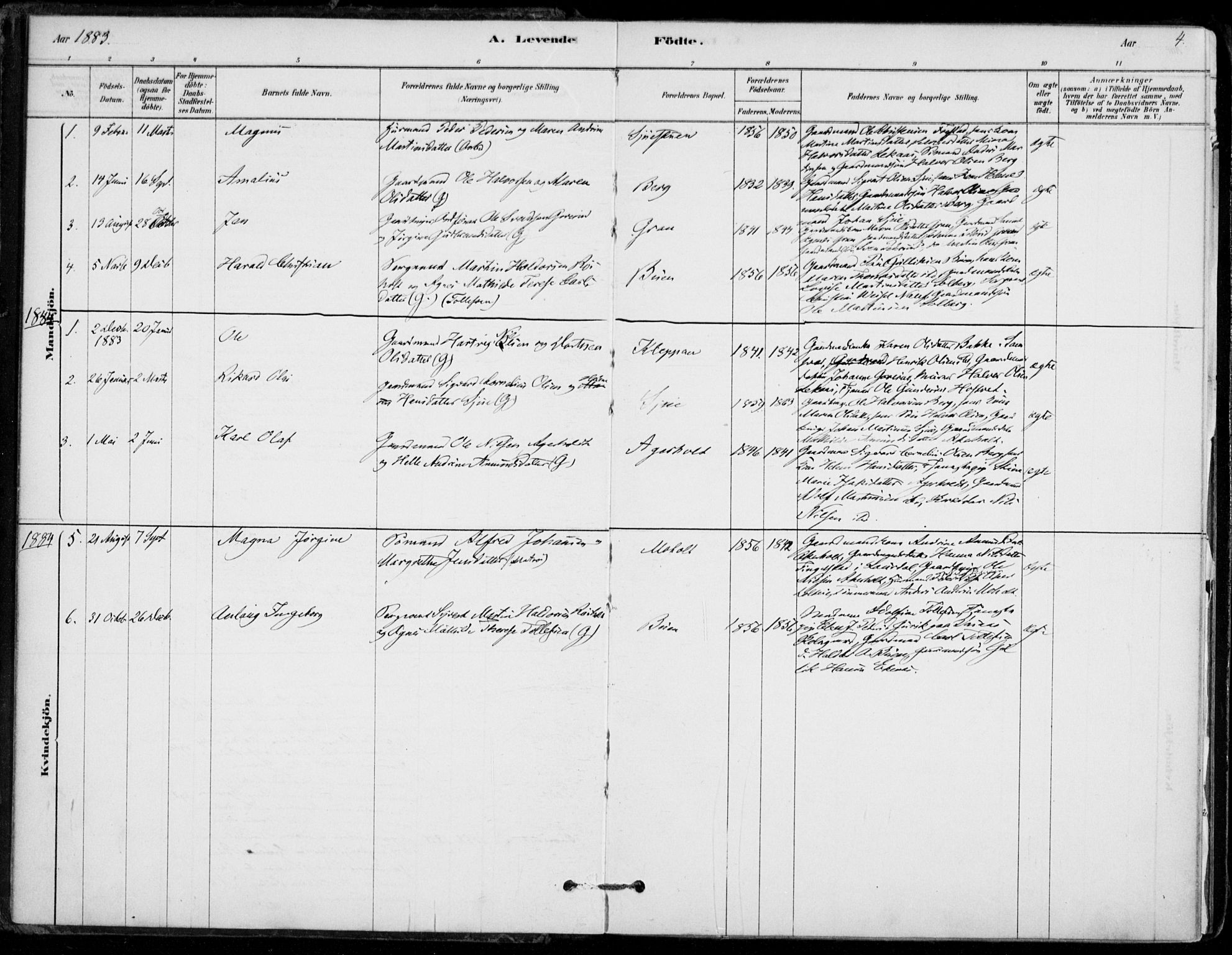 Hof kirkebøker, AV/SAKO-A-64/F/Fb/L0001: Parish register (official) no. II 1, 1878-1907, p. 4