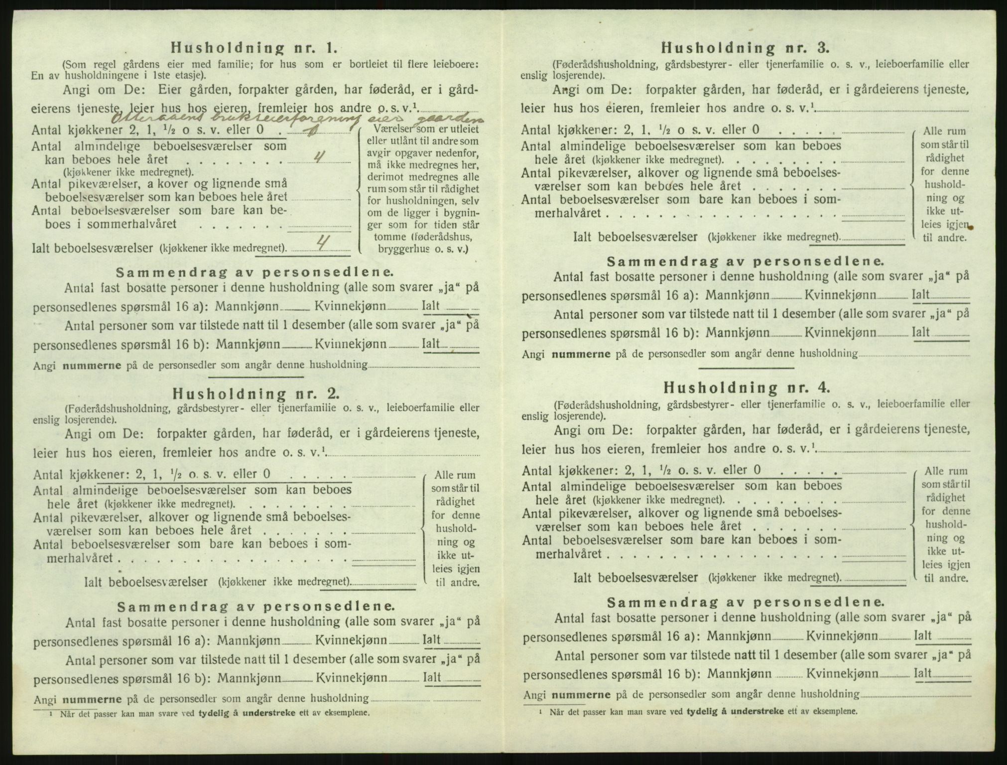 SAK, 1920 census for Hornnes, 1920, p. 114