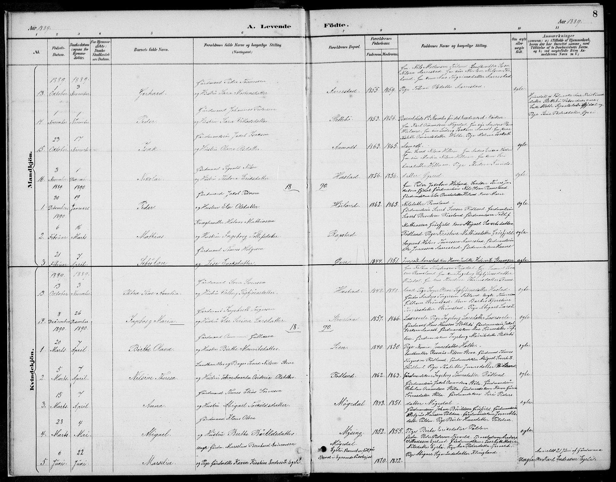 Helleland sokneprestkontor, SAST/A-101810: Parish register (copy) no. B 4, 1887-1941, p. 8