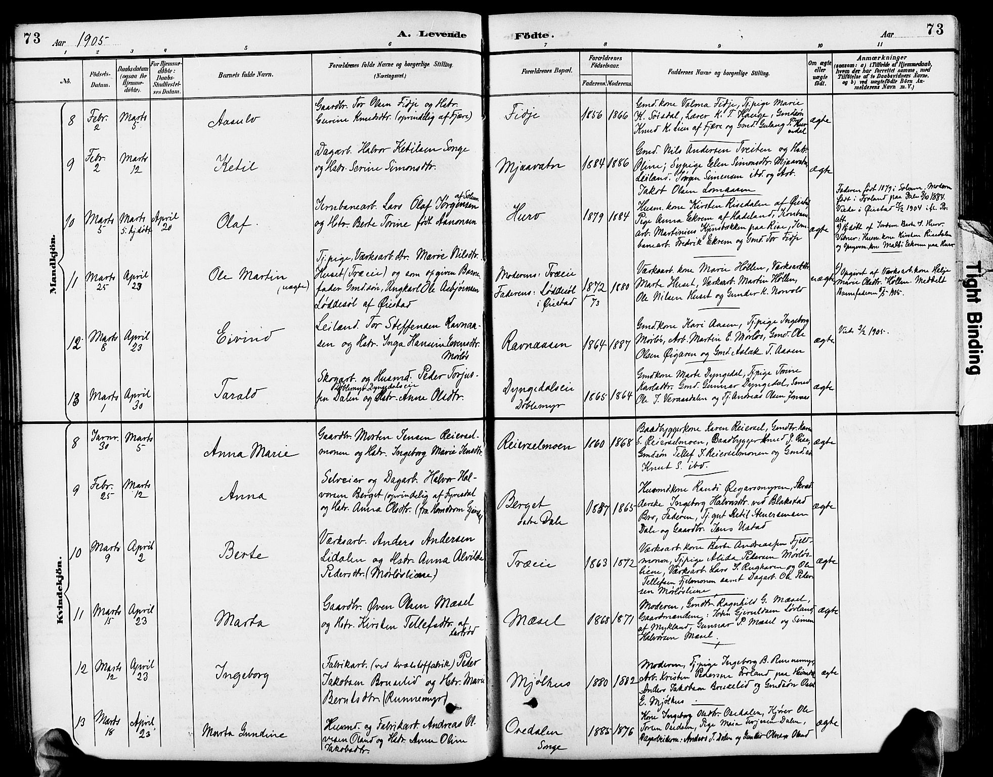 Froland sokneprestkontor, SAK/1111-0013/F/Fb/L0010: Parish register (copy) no. B 10, 1893-1920, p. 73