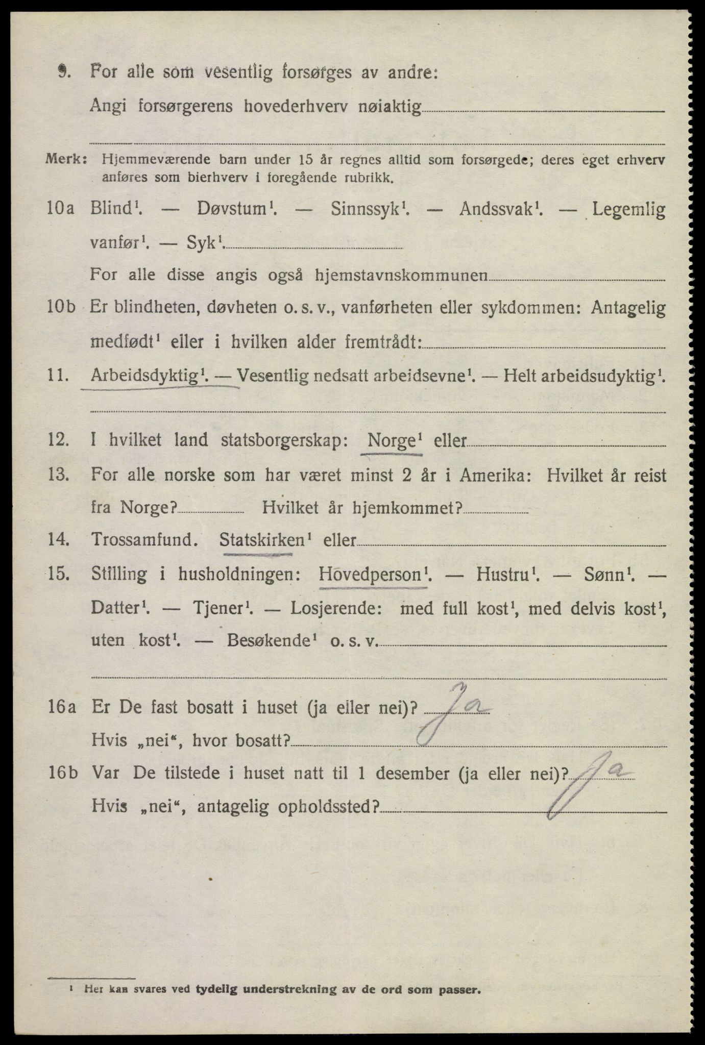 SAKO, 1920 census for Brunlanes, 1920, p. 10480
