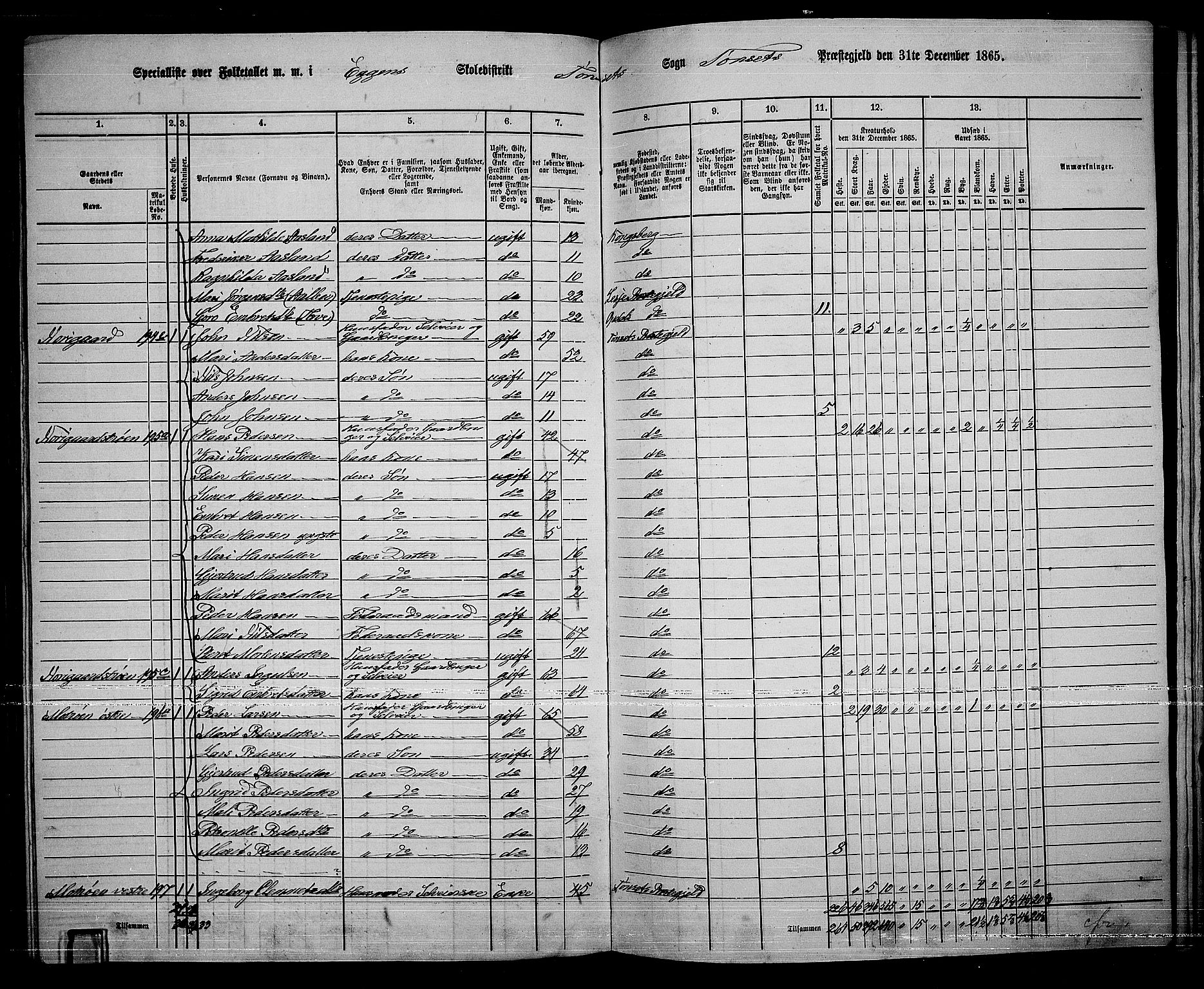 RA, 1865 census for Tynset, 1865, p. 88