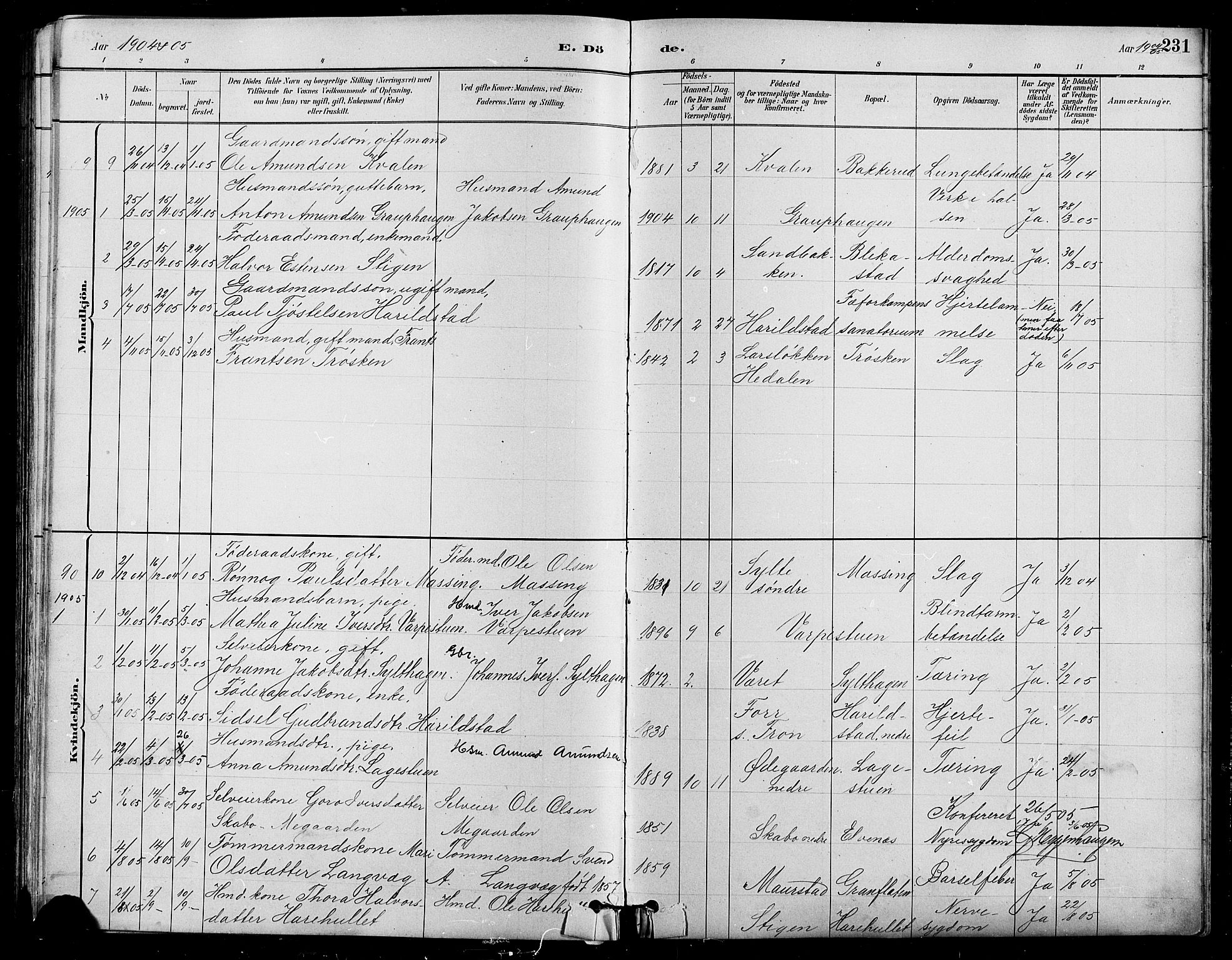 Nord-Fron prestekontor, SAH/PREST-080/H/Ha/Hab/L0005: Parish register (copy) no. 5, 1884-1914, p. 231