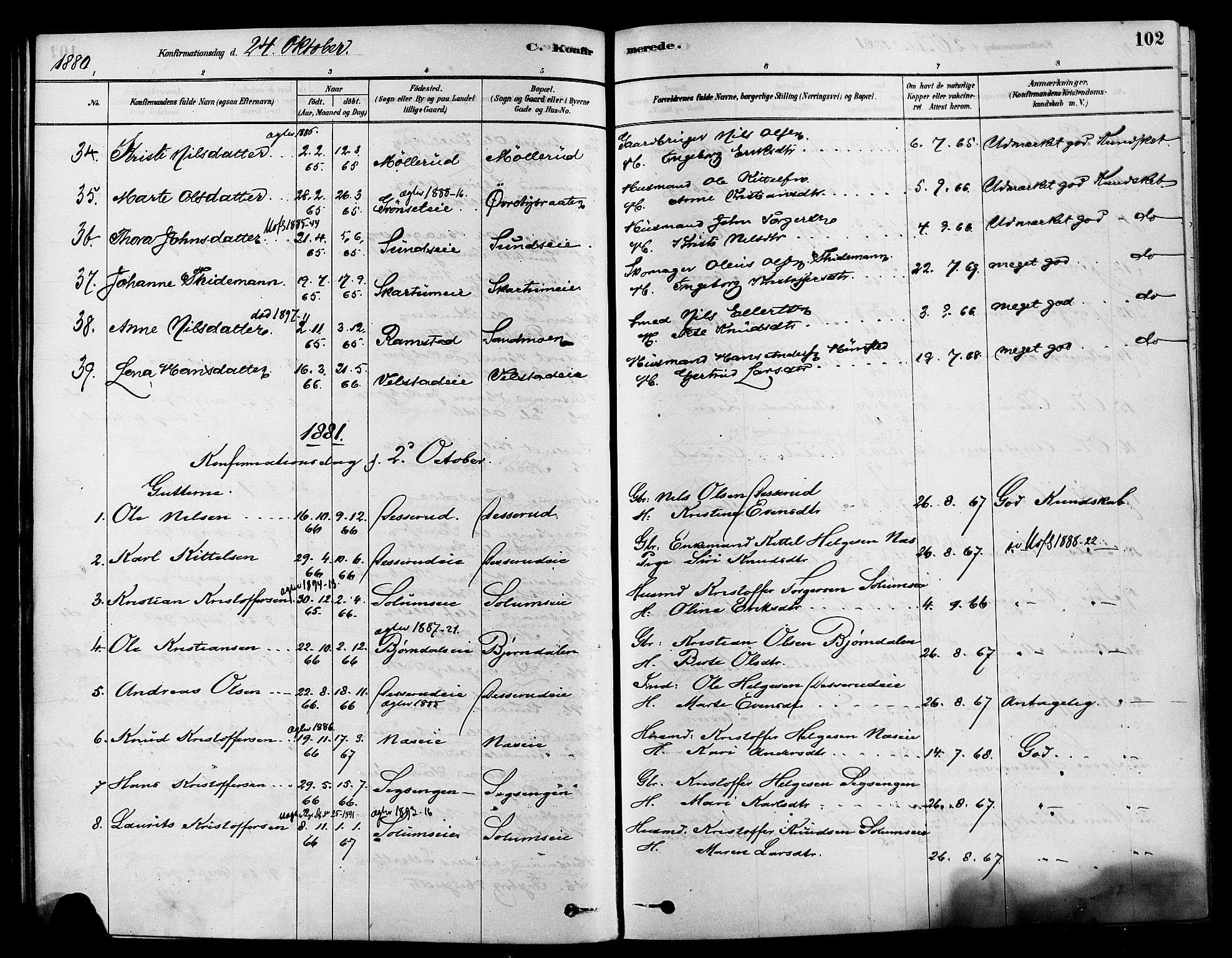 Sigdal kirkebøker, SAKO/A-245/F/Fa/L0011: Parish register (official) no. I 11, 1879-1887, p. 102