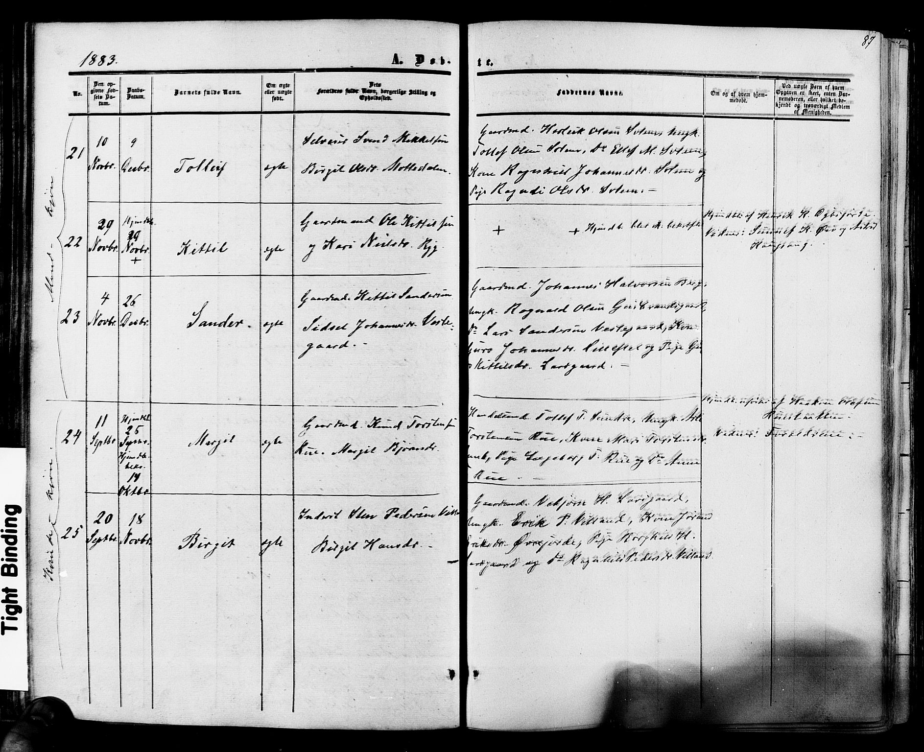 Hol kirkebøker, AV/SAKO-A-227/F/Fa/L0002: Parish register (official) no. I 2, 1870-1886, p. 87