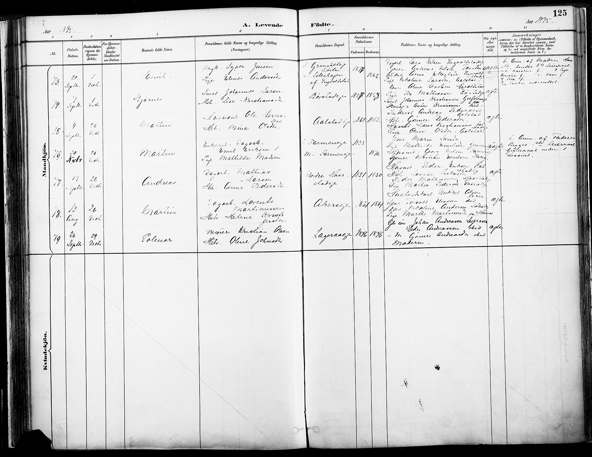 Vang prestekontor, Hedmark, SAH/PREST-008/H/Ha/Haa/L0019A: Parish register (official) no. 19, 1886-1900, p. 125